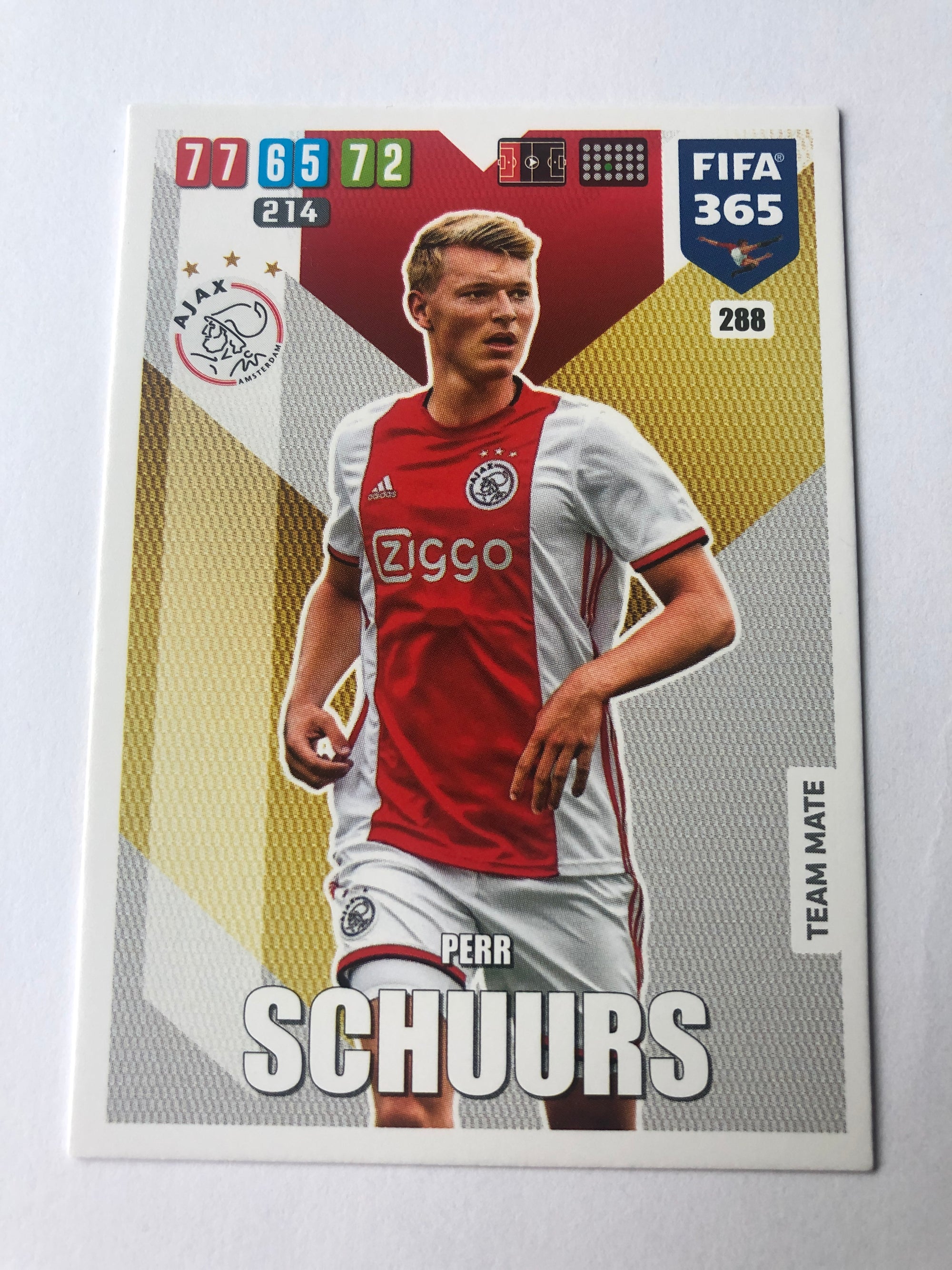 288. PERR SCHUURS - AJAX - TEAM MATE