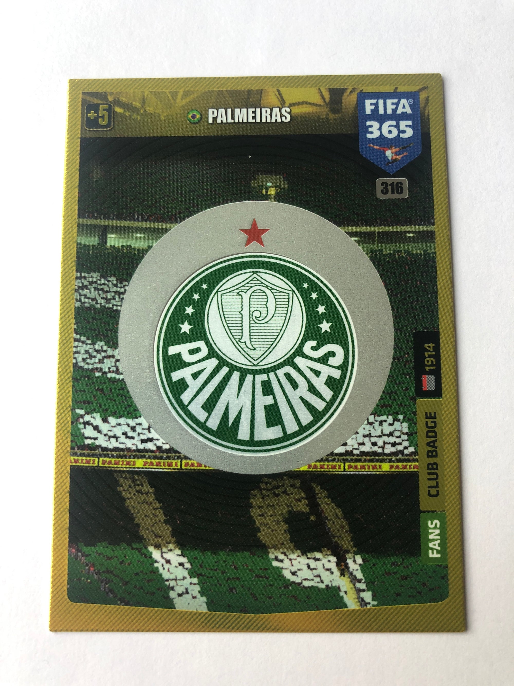 316. PALMEIRAS - FANS CLUB BADGE