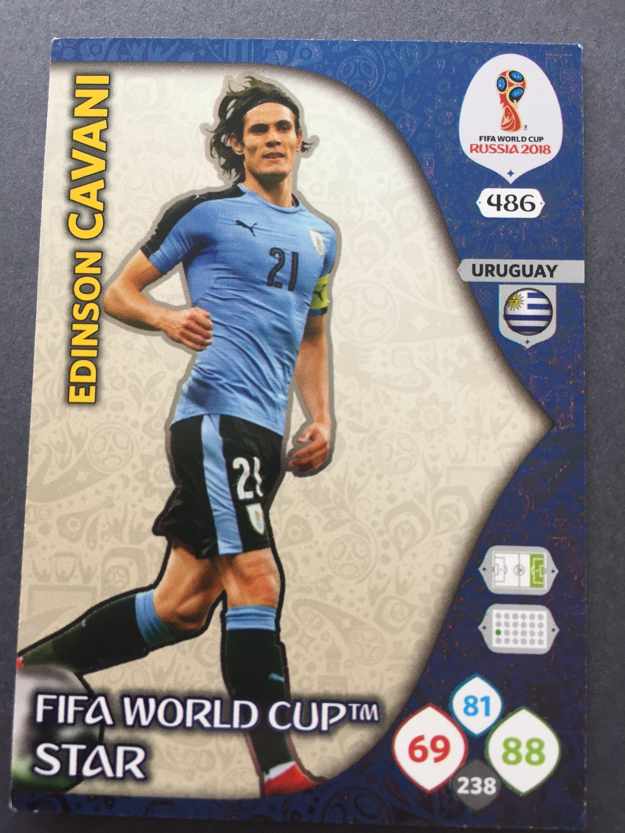 486. EDINSON CAVANI - URUGUAY - WORLD CUP STAR