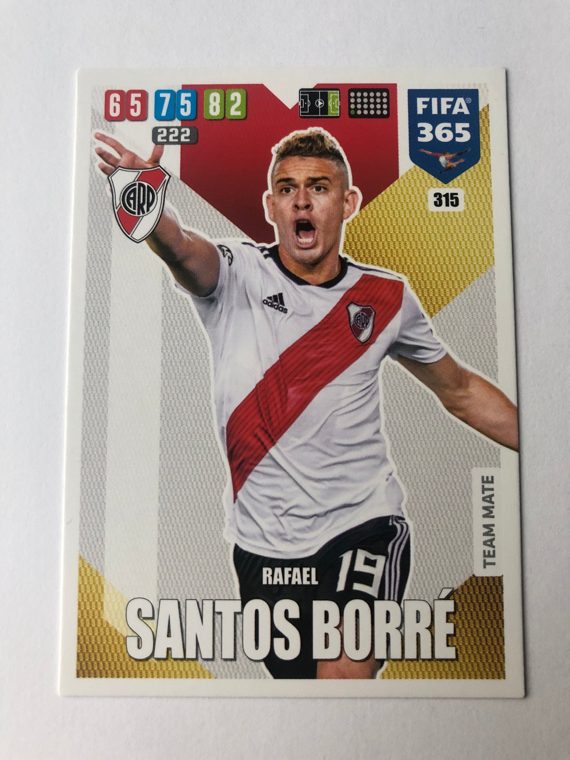 315. RAFAEL SANTOS BORRE - RIVER PLATE - TEAM MATE