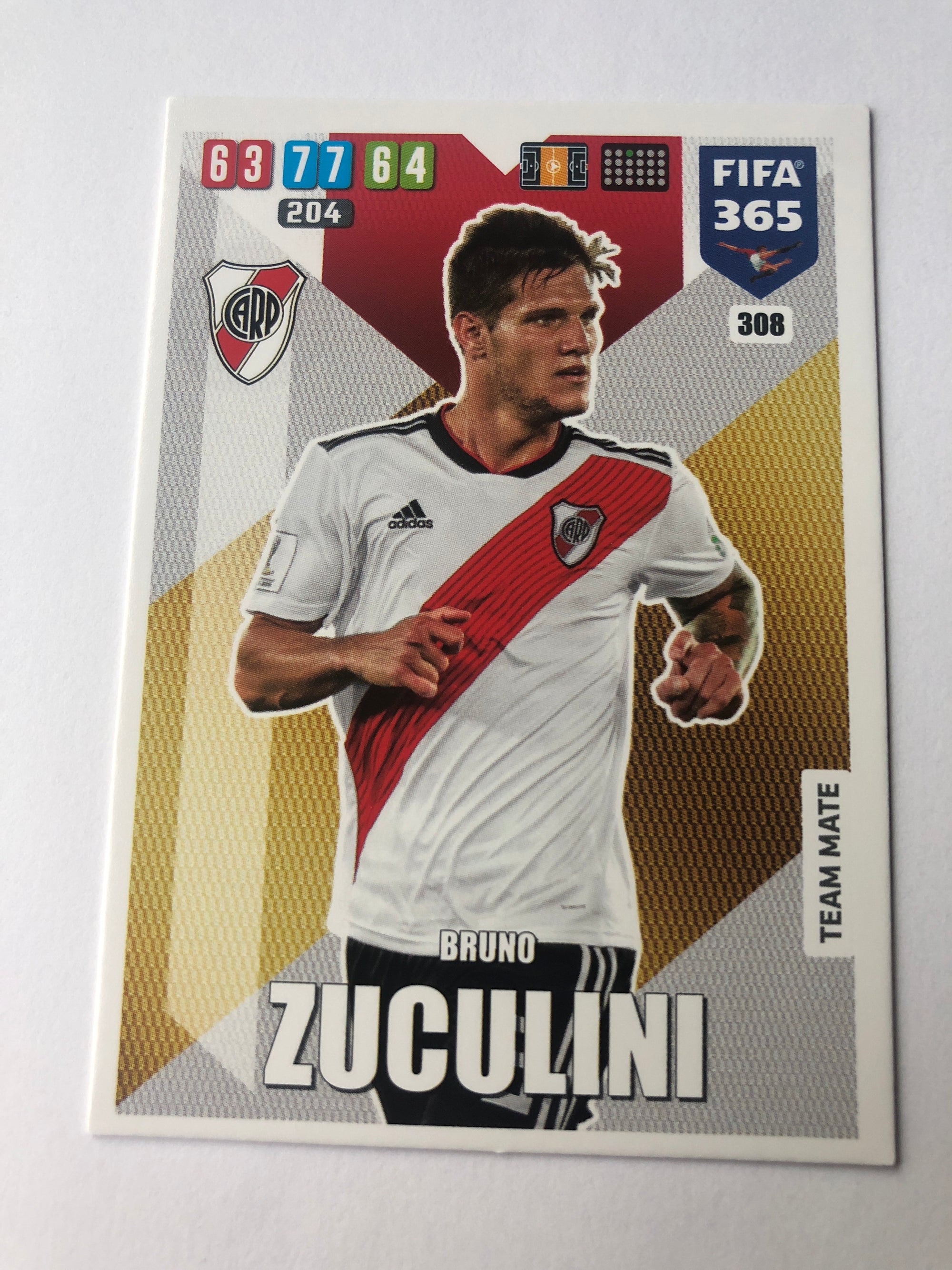 308. BRUNO ZUCULINI - RIVER PLATE - TEAM MATE