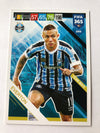 295. EVERTON - GRÊMIO - TEAM MATE