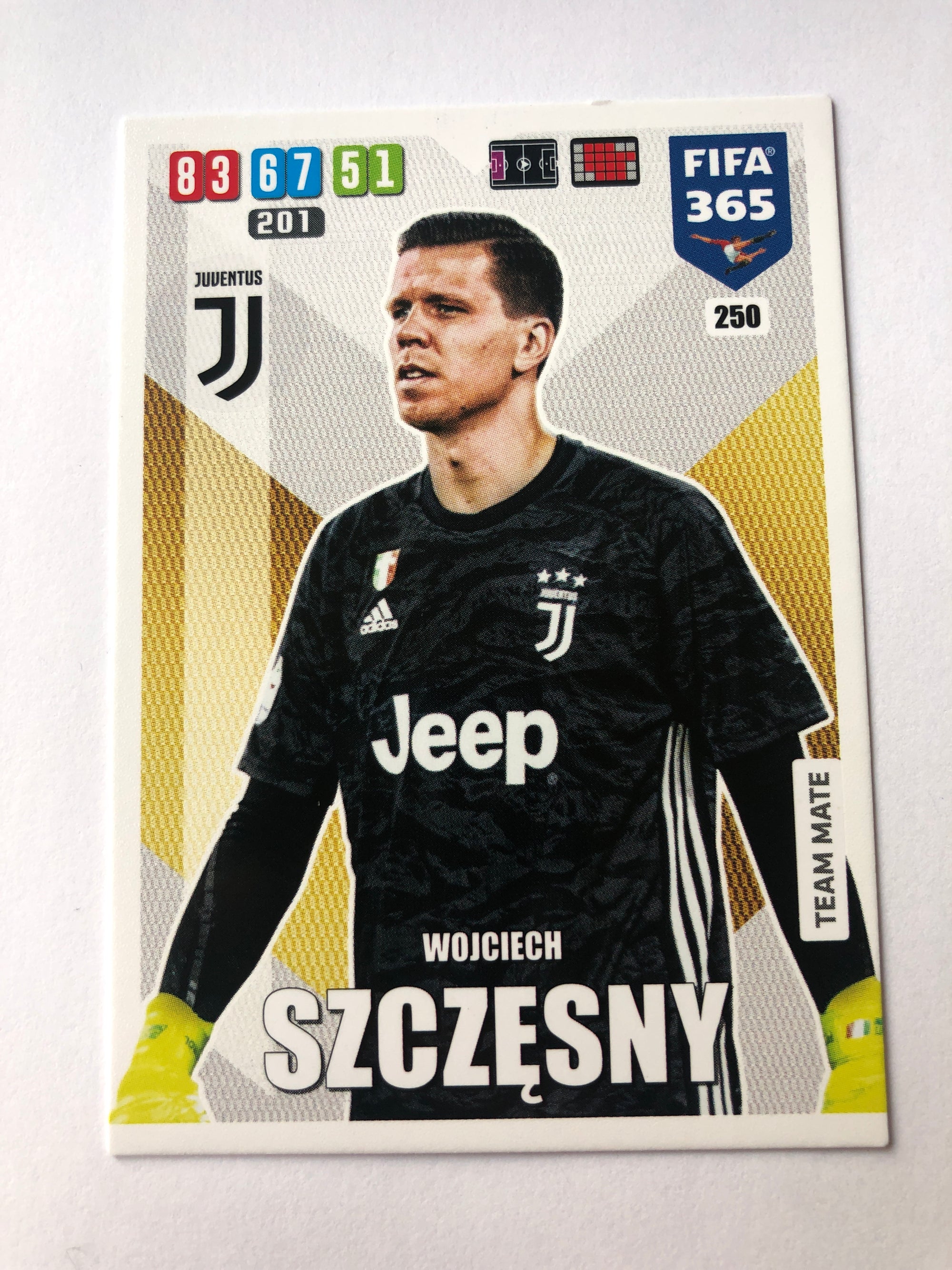 250. WOJCIECH SXCZESNY - JUVENTUS - TEAM MATE