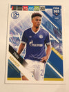143. THILO KEHRER - SCHALKE 04 - TEAM MATE
