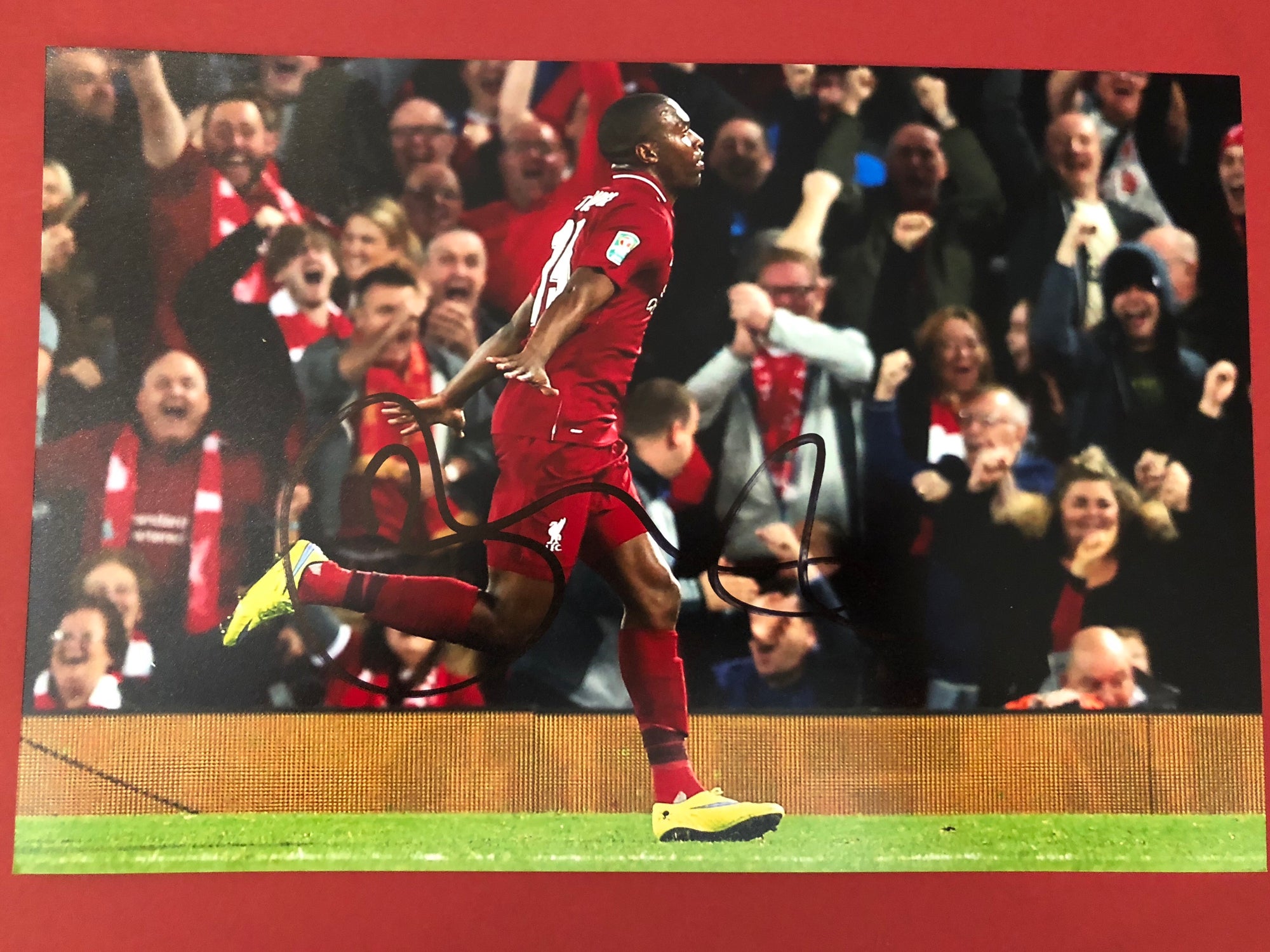 LIVERPOOL - DANIEL STURRIGDE - SIGNERT BILDE MED EKTEHETSBEVIS/COA