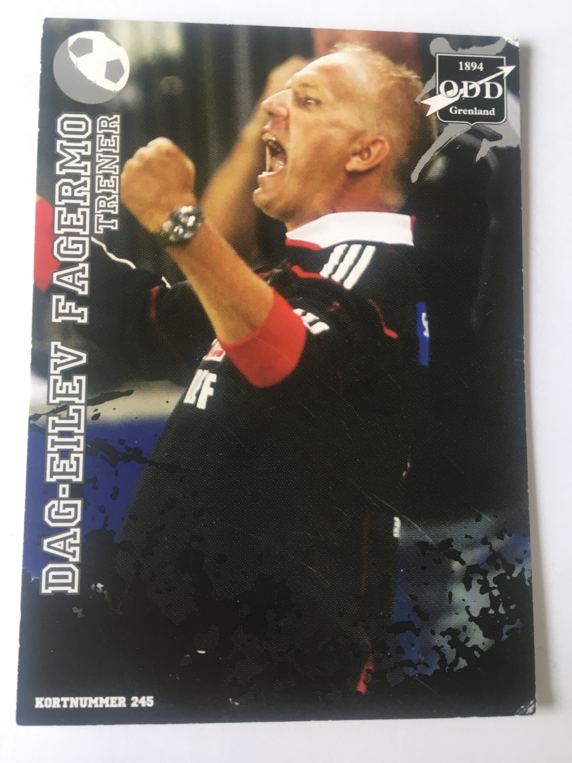 ODD - DAG-EILEV FAGERMO