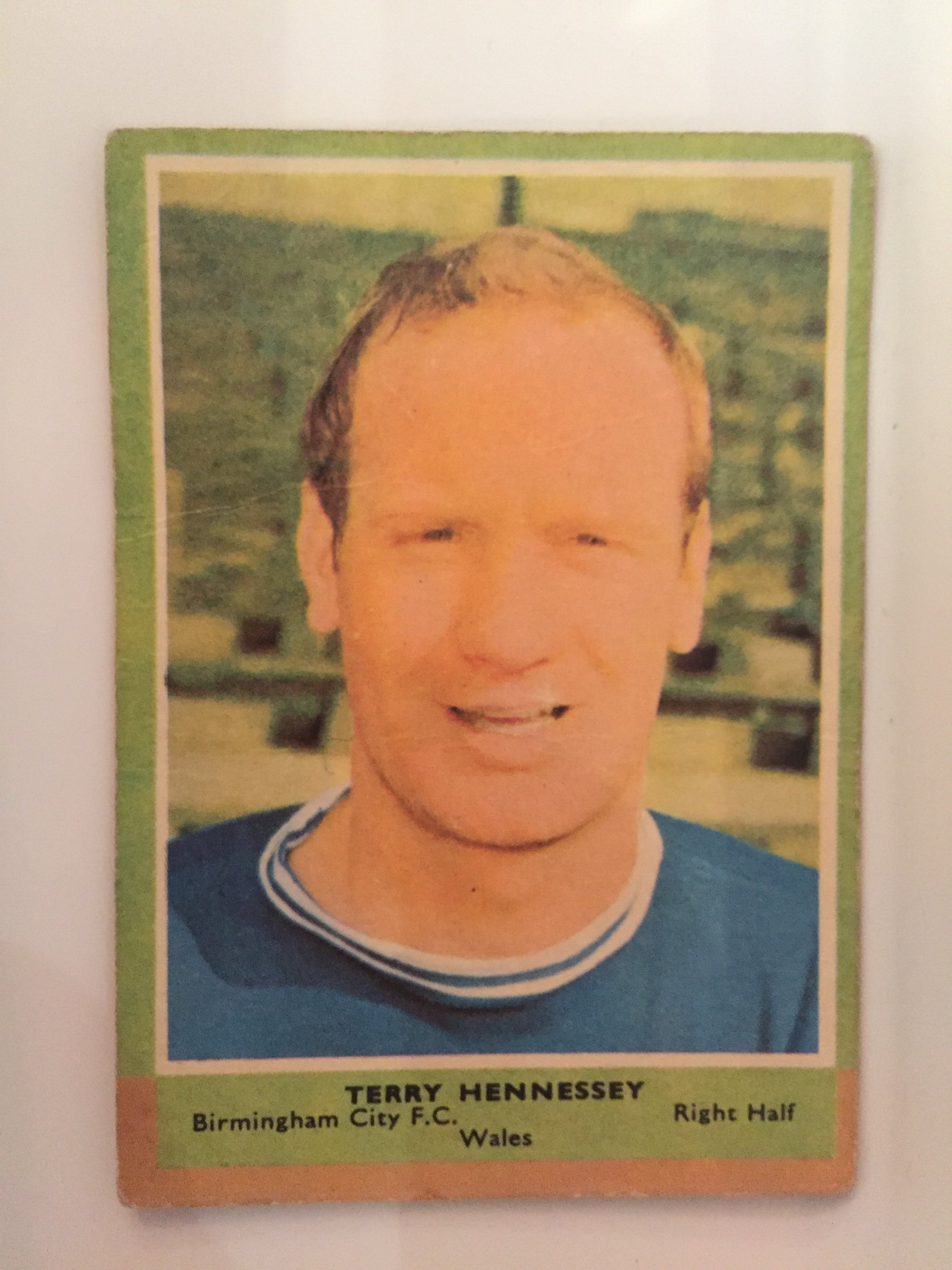028. TERRY HENNESSEY - BIRNMINGHAM