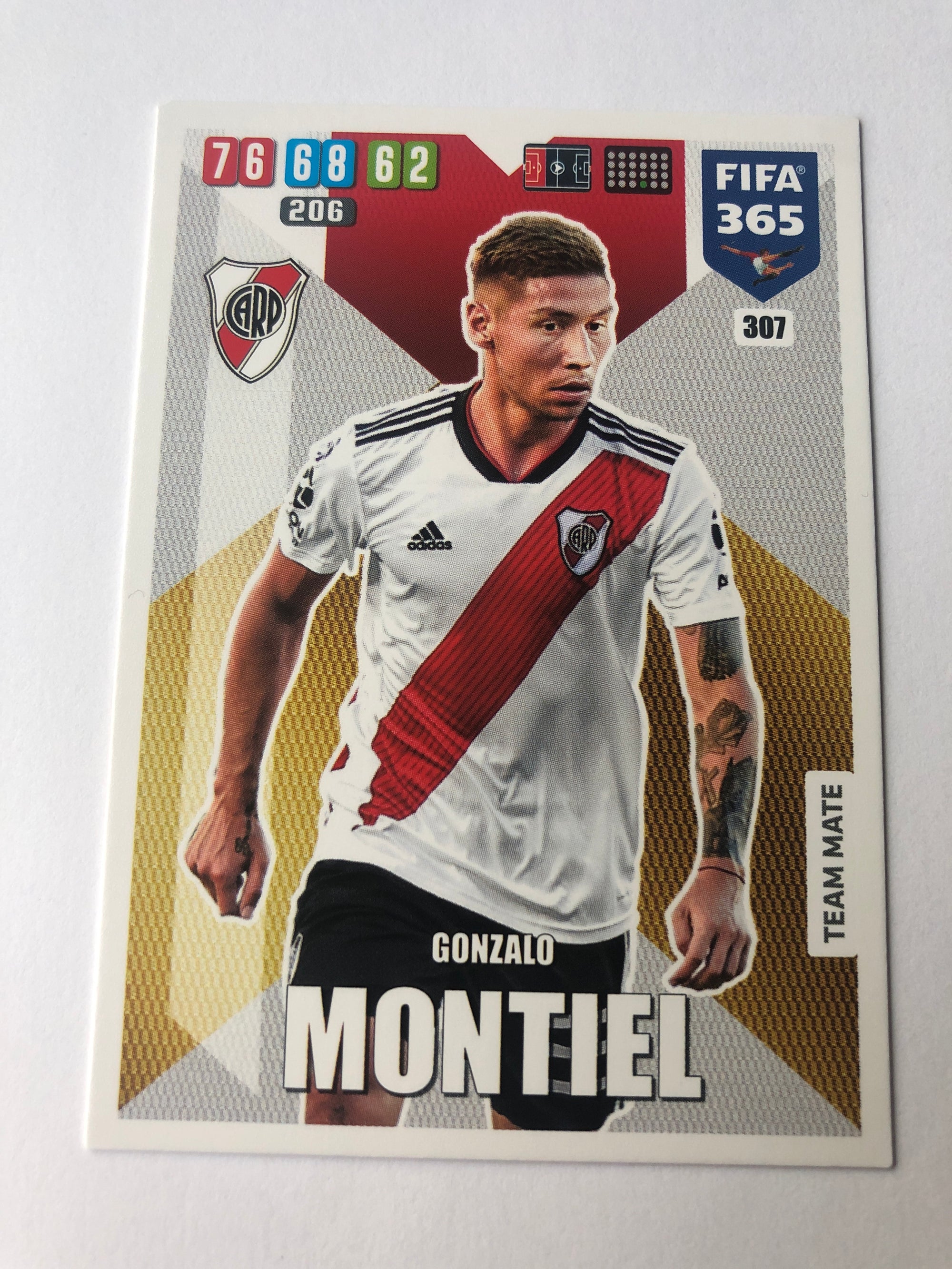 307. GONZALO MONTIEL - RIVER PLATE - TEAM MATE