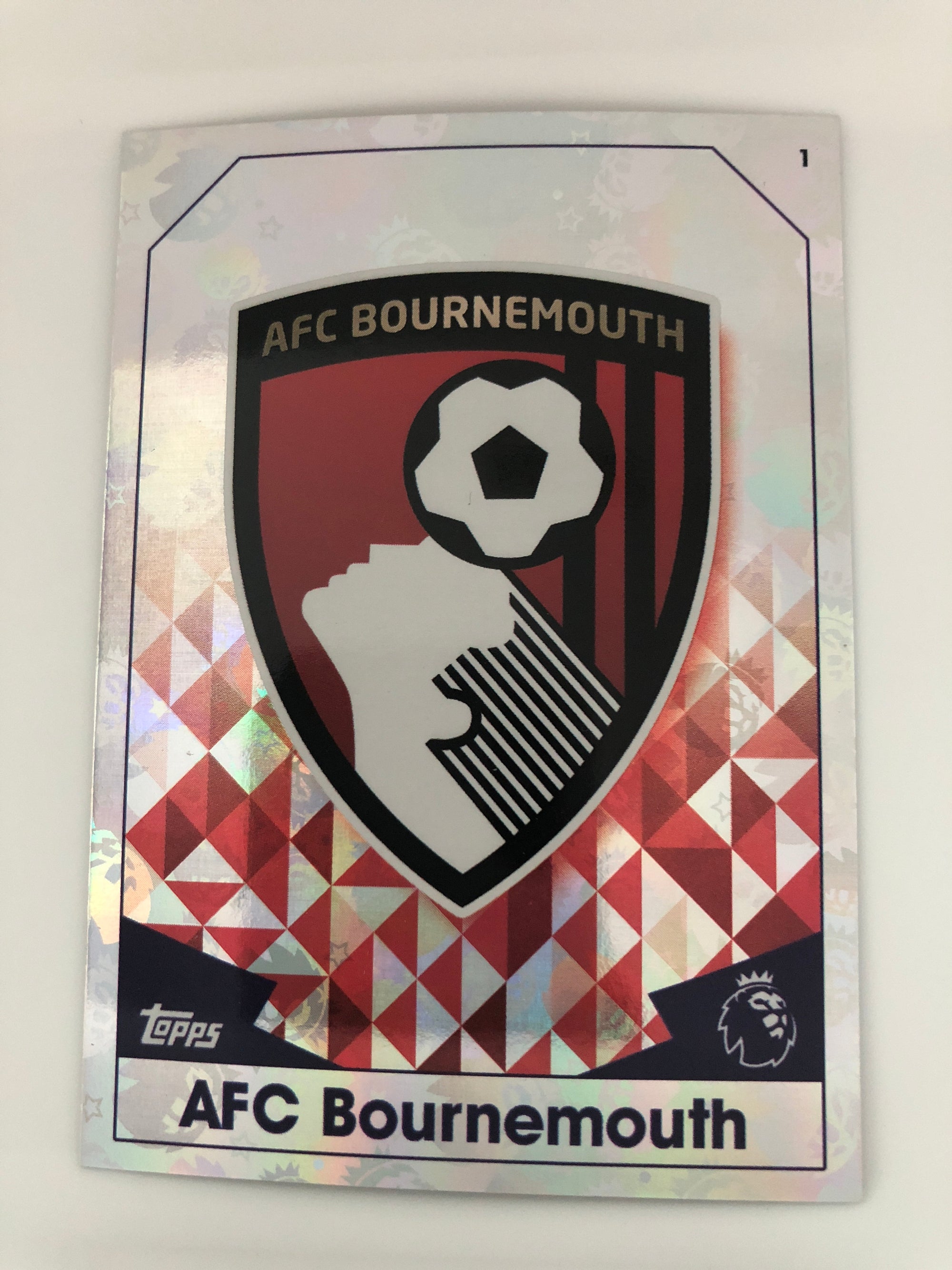 001. AFC BOURNEMOUTH