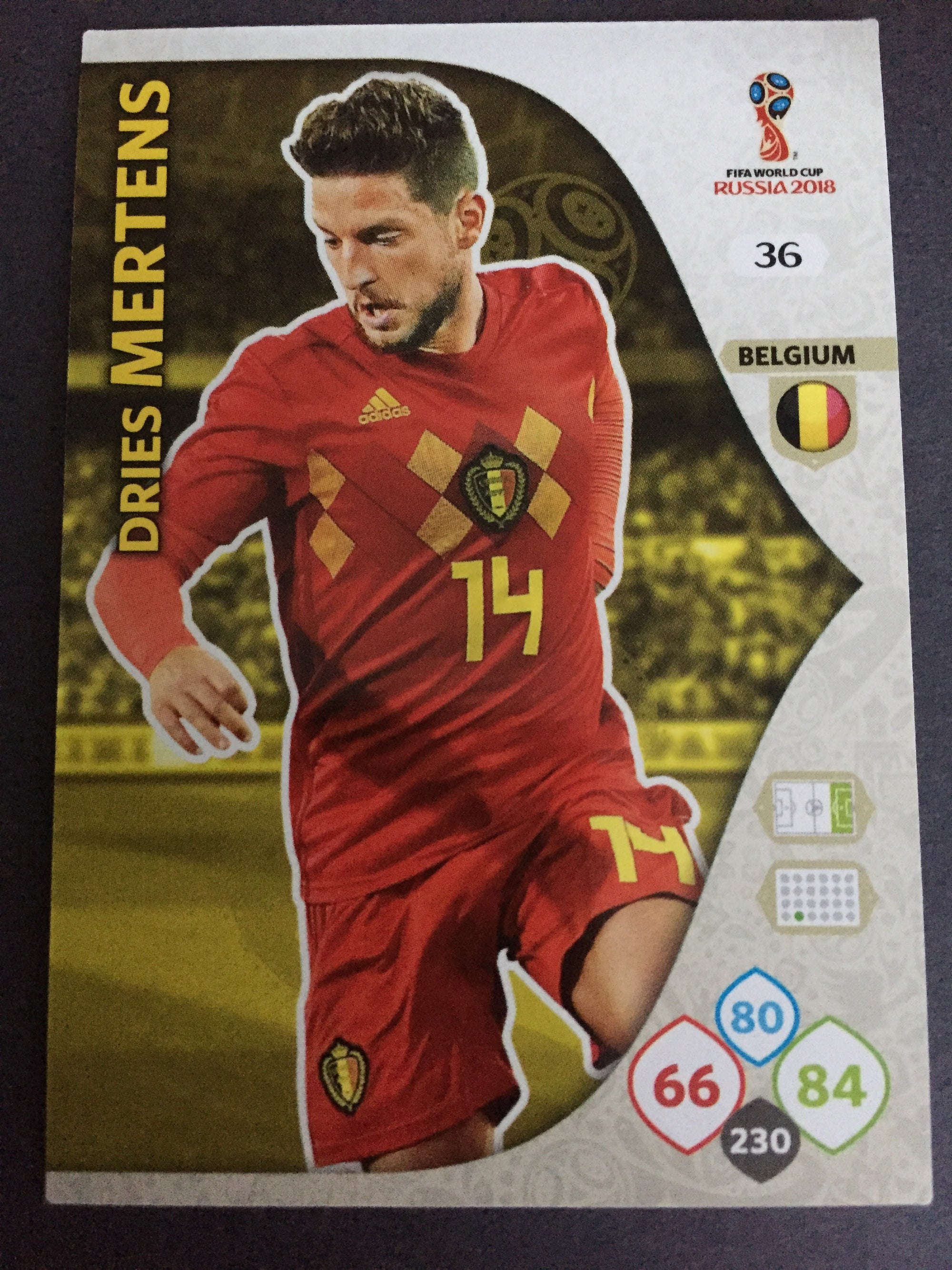 036. DRIES MERTENS - BELGIUN