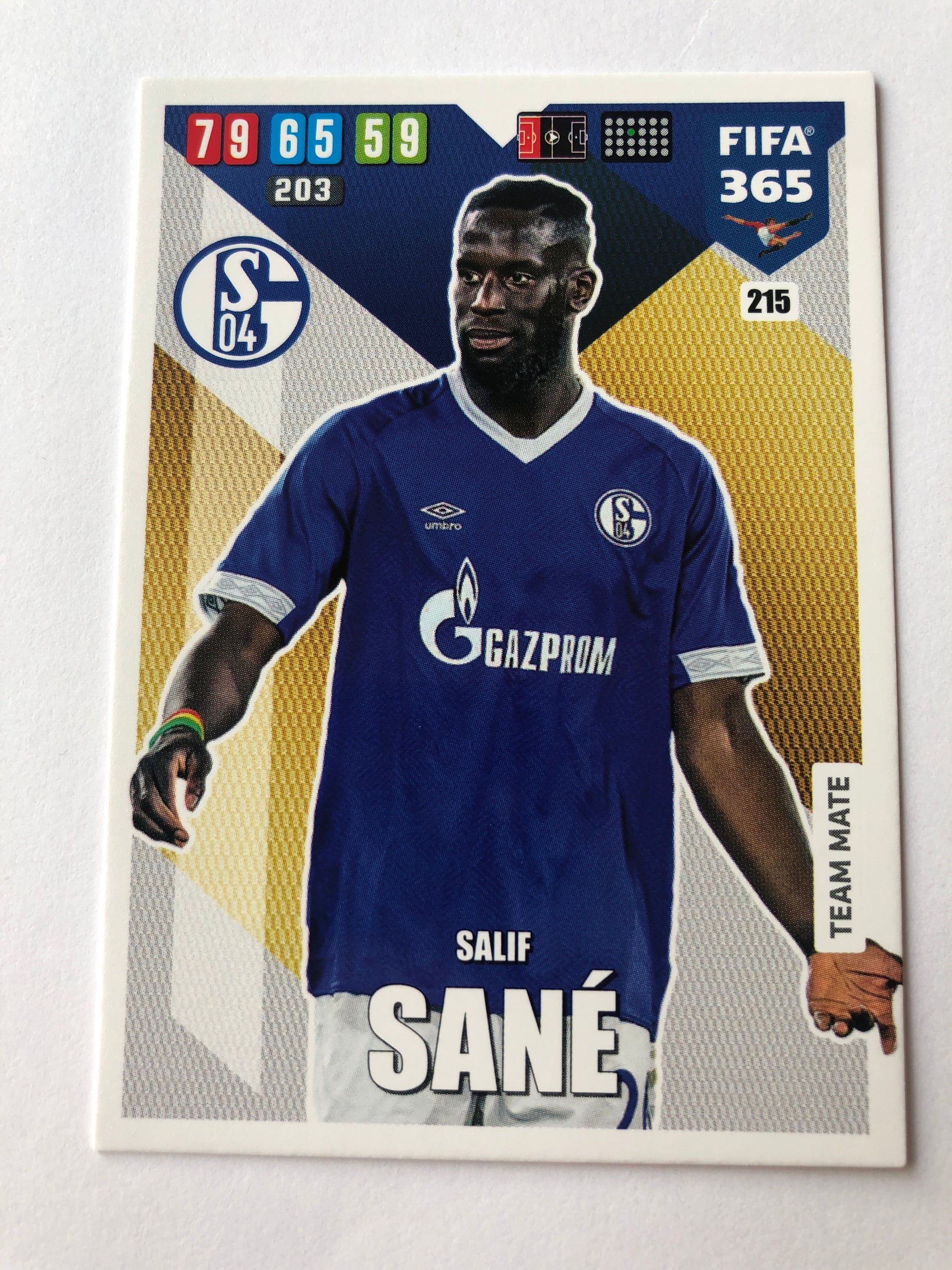 215. SALIF SANE - SCHALKE 04 - TEAM MATE
