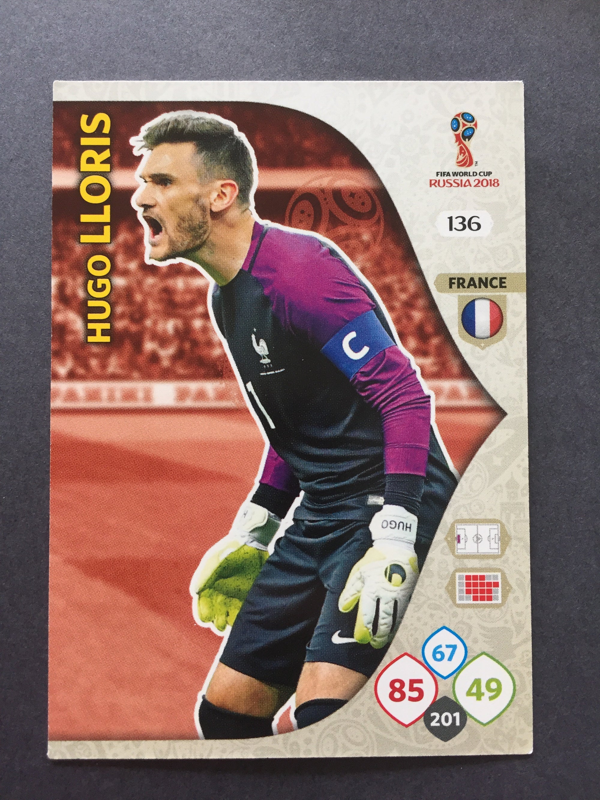 136. HUGO LLORIS - FRANCE