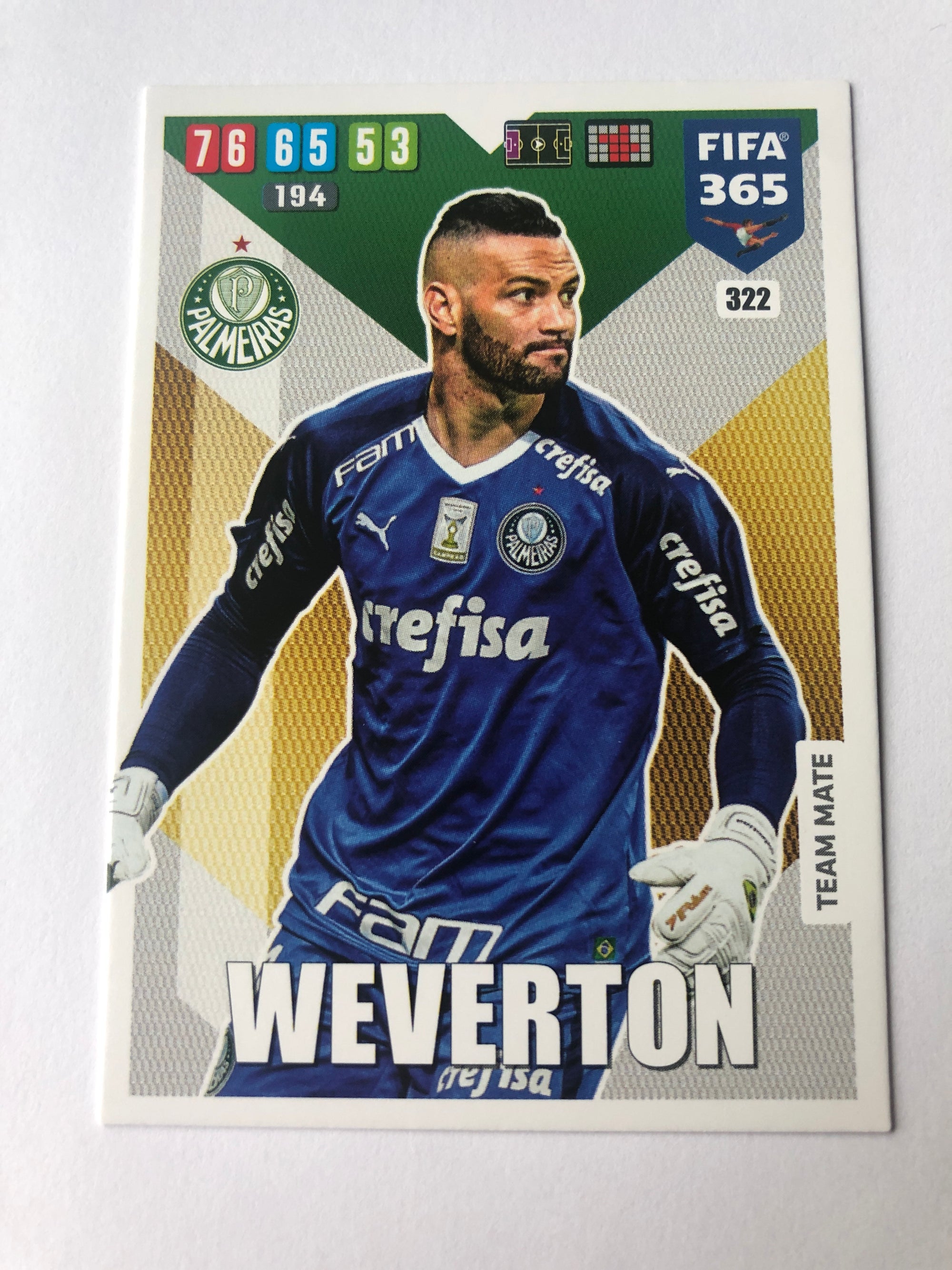 322. WEVERTON - PALMEIRAS - TEAM MATE