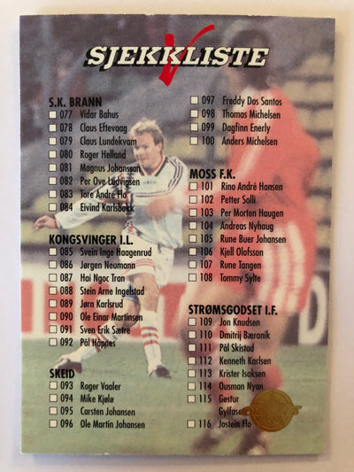 199. SJEKKLISTE