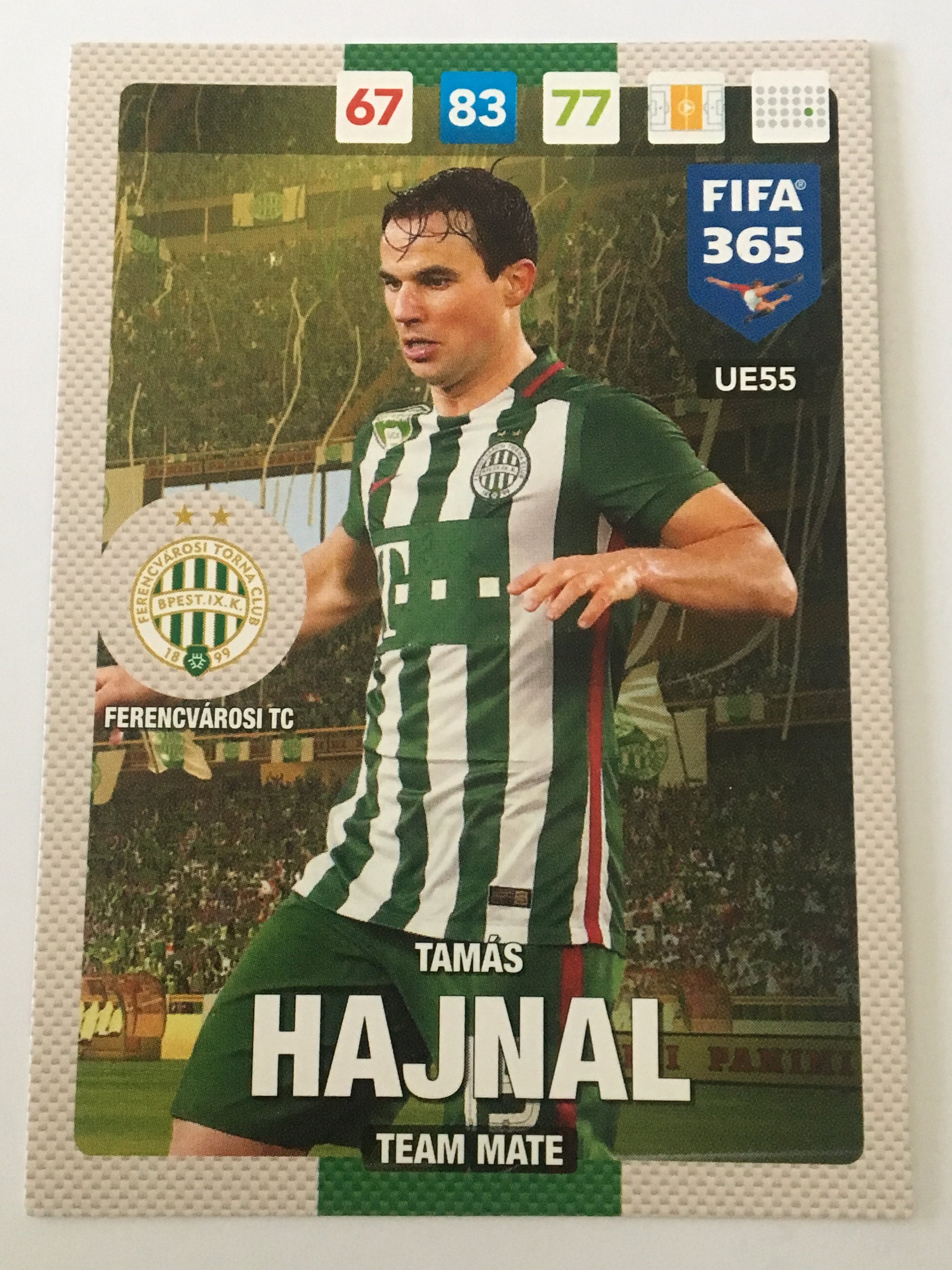UE055 - TAMÁS HAJNAL - FERENCVÁROSI TC - TEAM MATE