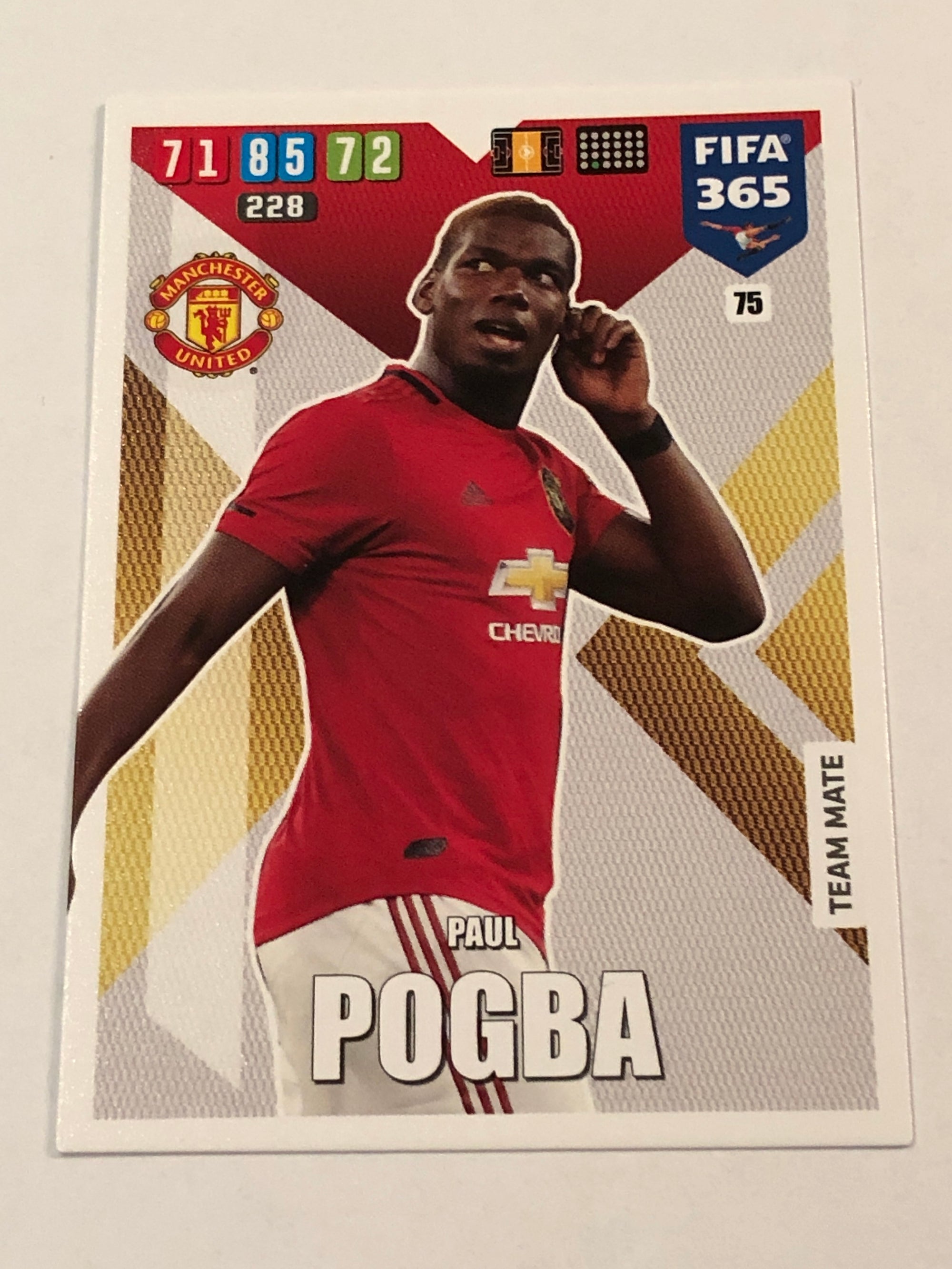 075. PAUL POGBA - MANCHESTER UNITED - TEAM MATE