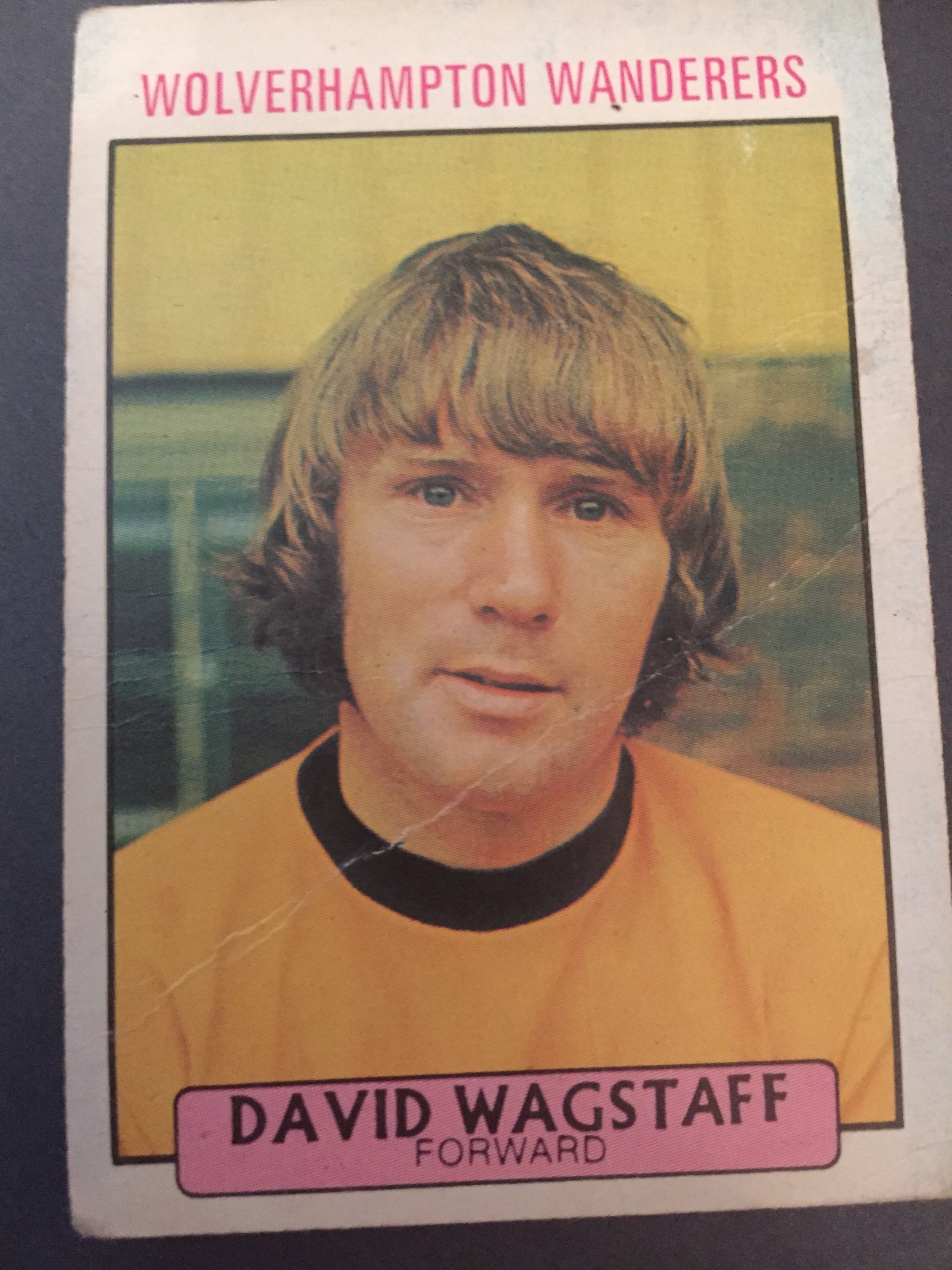 193. DAVID WAGSTAFF - WOLVERHAMPTON