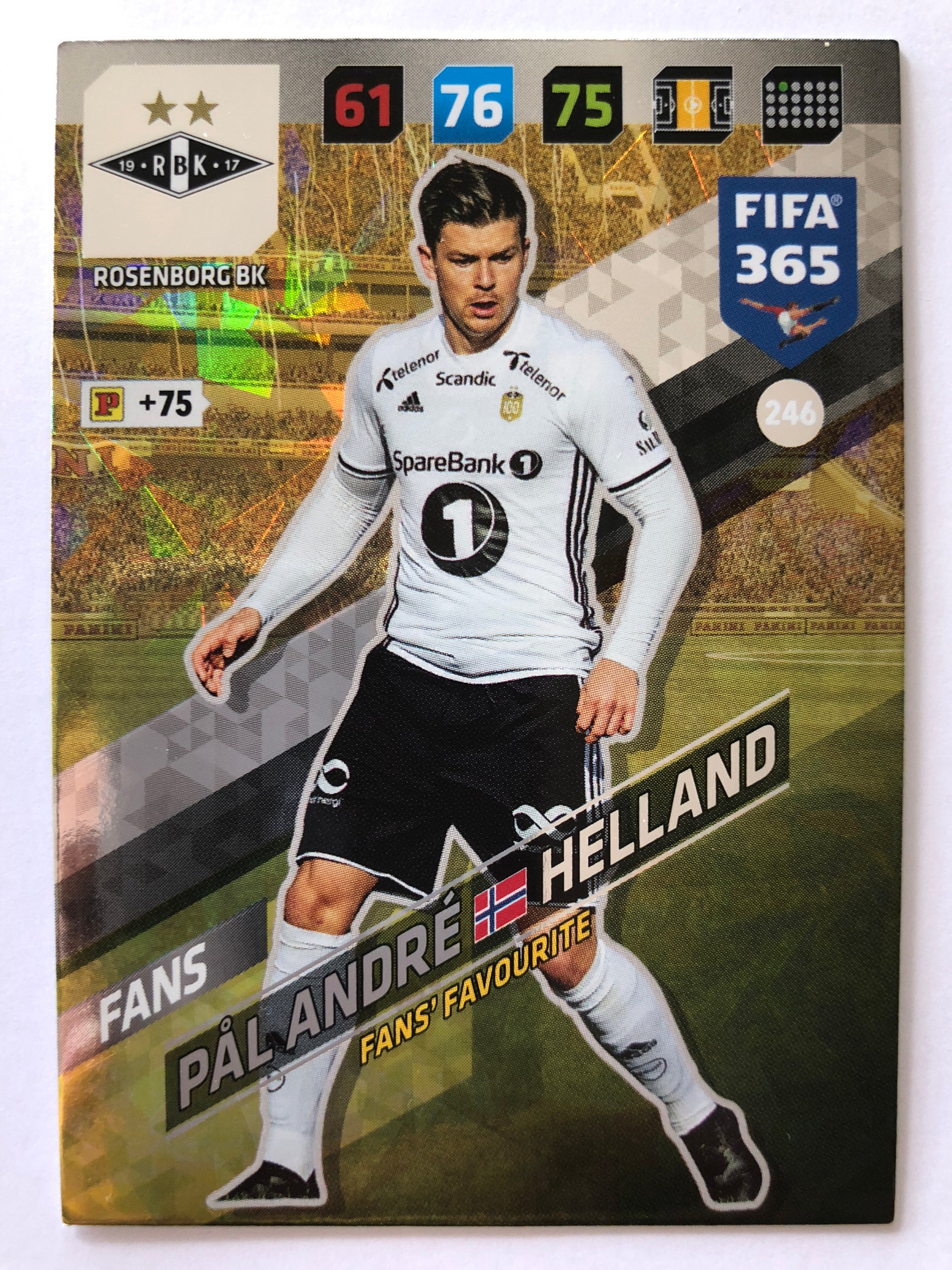 246. PÅL ANDRE HELLAND - ROSENBORG BK - FANS - FANS’ FAVOURITE