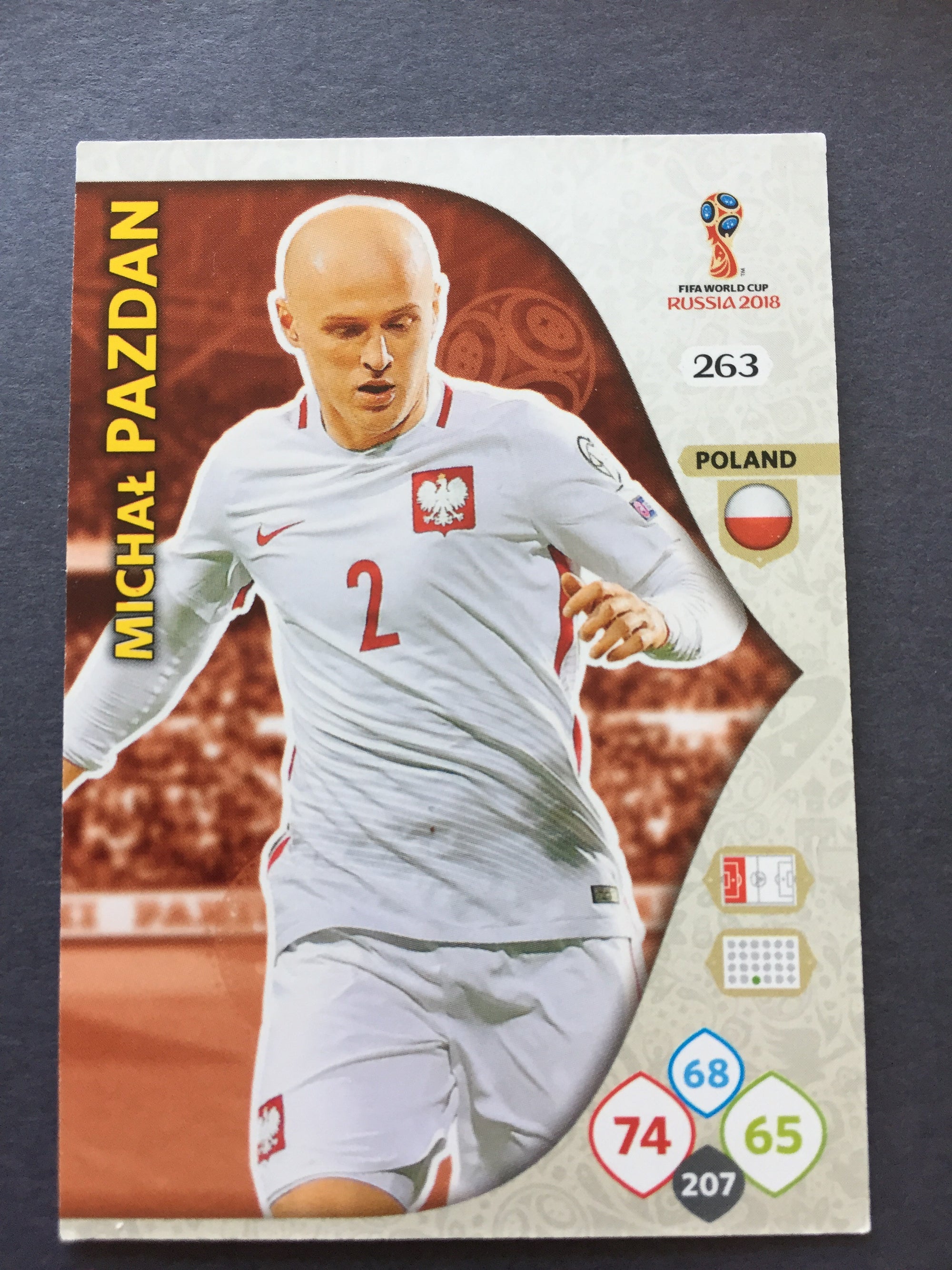 263. MICHAL PAZDAN -POLAND