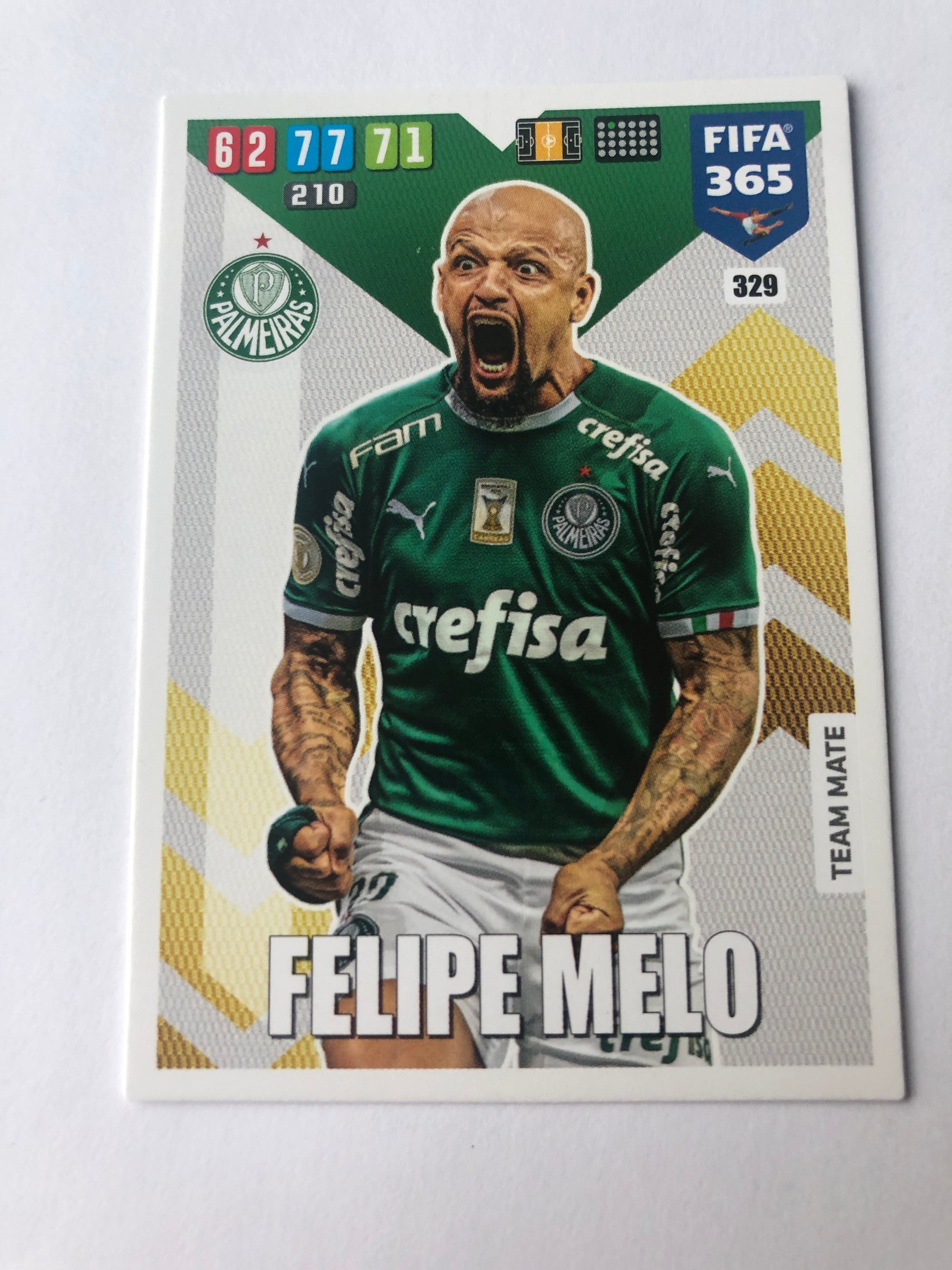 329. FELIPE MELO - PALMEIRAS - TEAM MATE