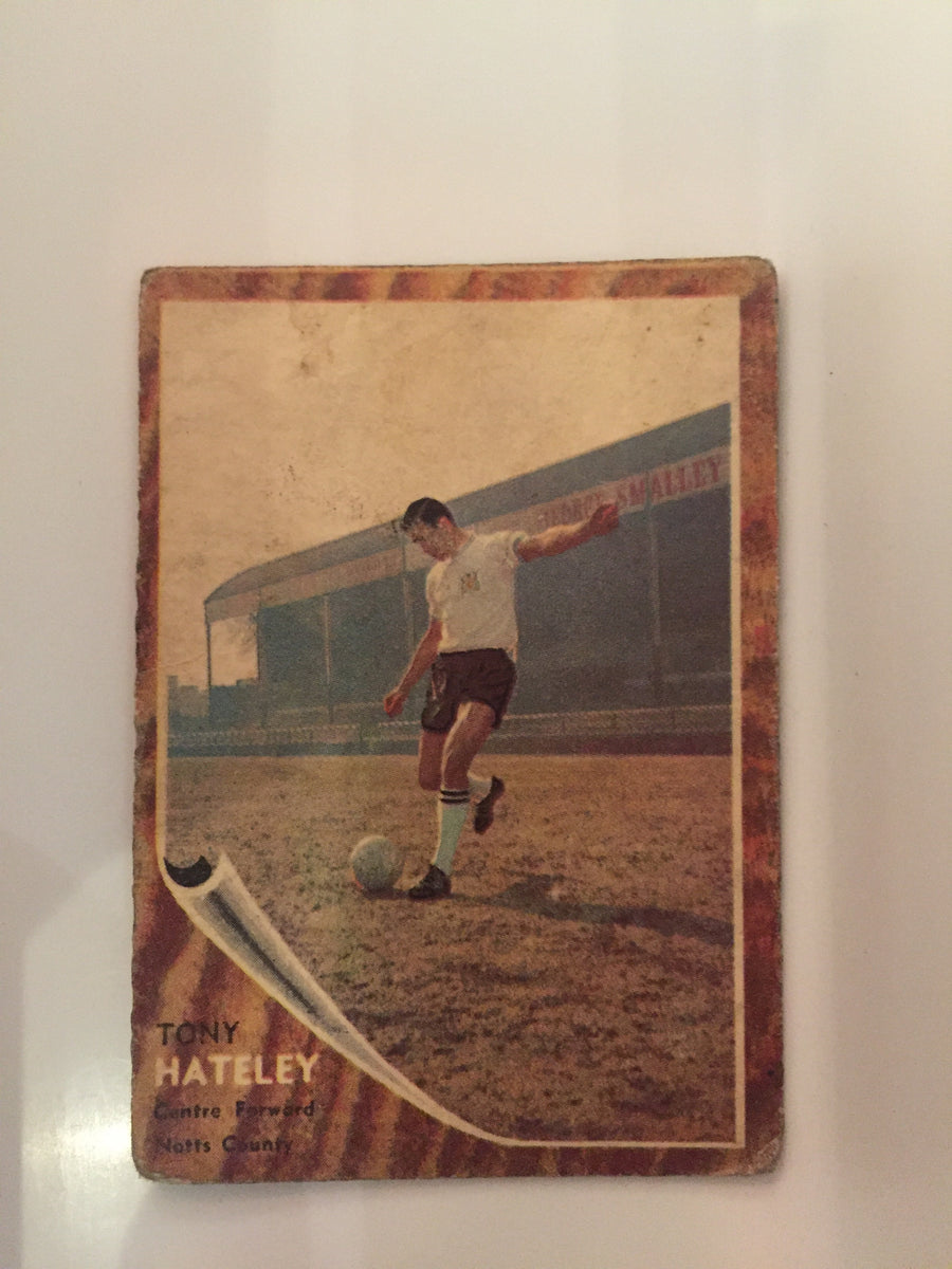 016. TONY HATELAY - NOTTS COUTY