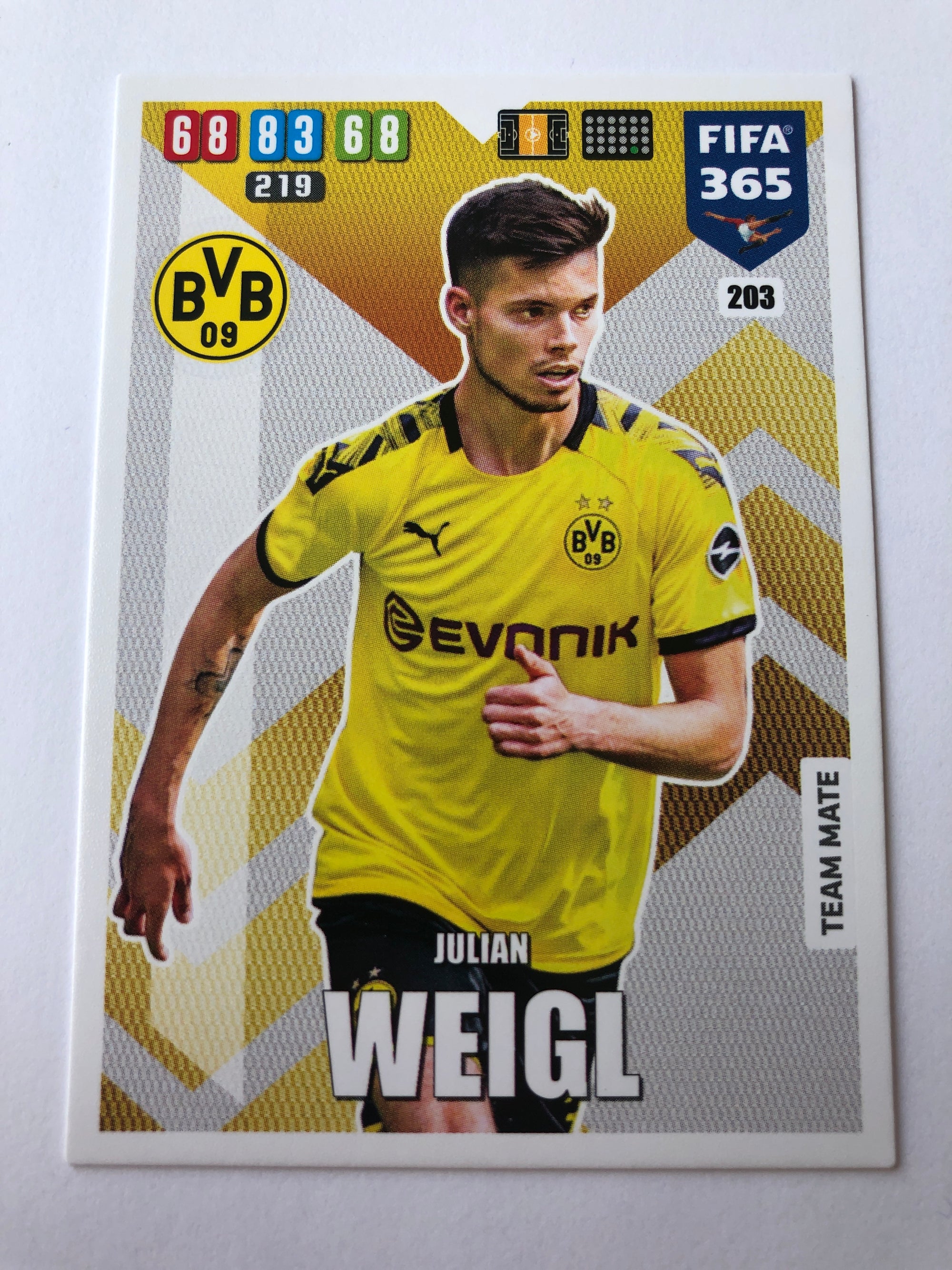 203. JULIAN WEIGL - BORUSSIA DORTMUND - TEAM MATE