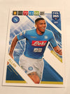 203. ALLAN - NAPOLI - TEAM MATE