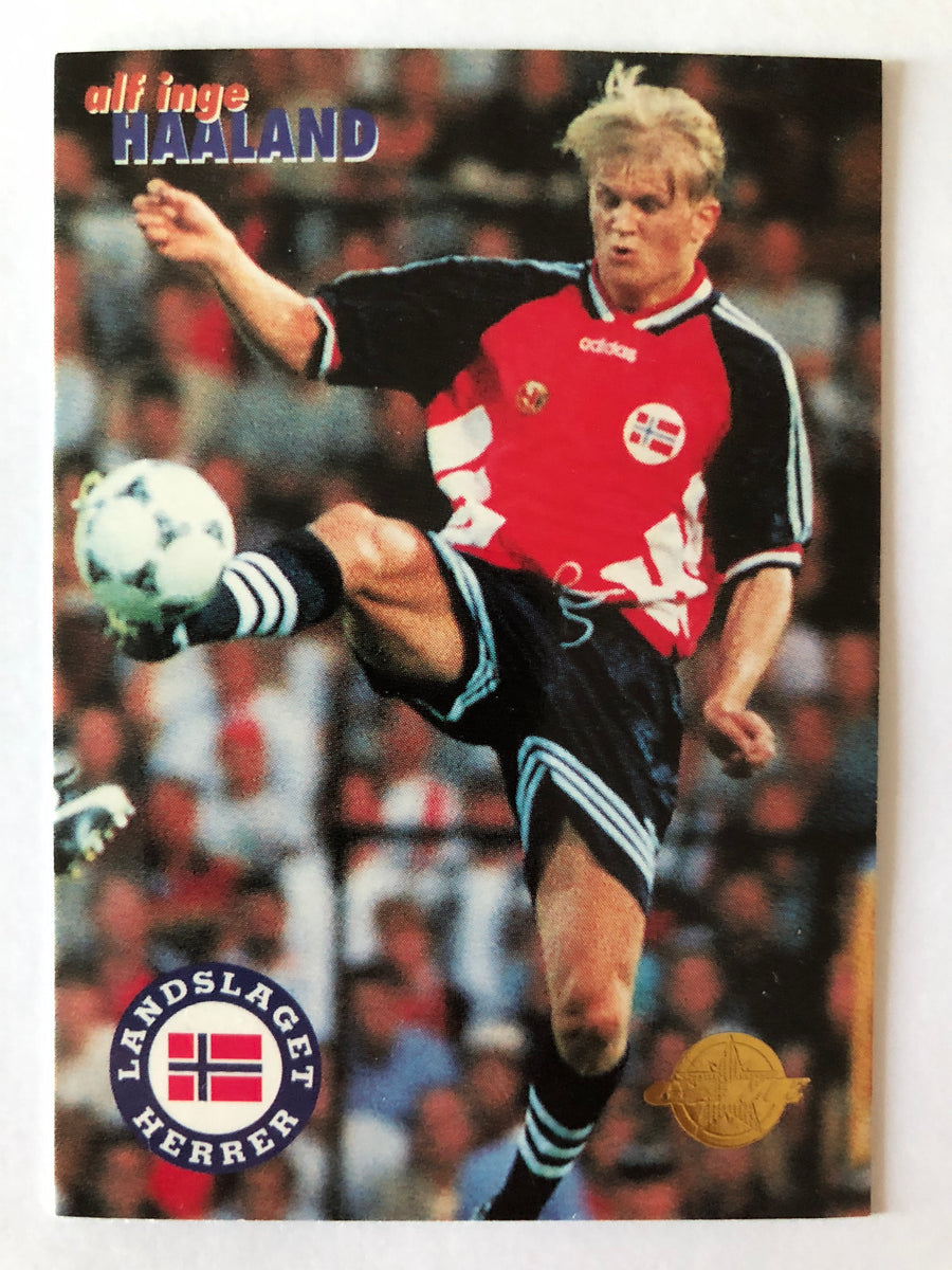 123. ALF INGE HAALAND - LANDSLAGET HERRER