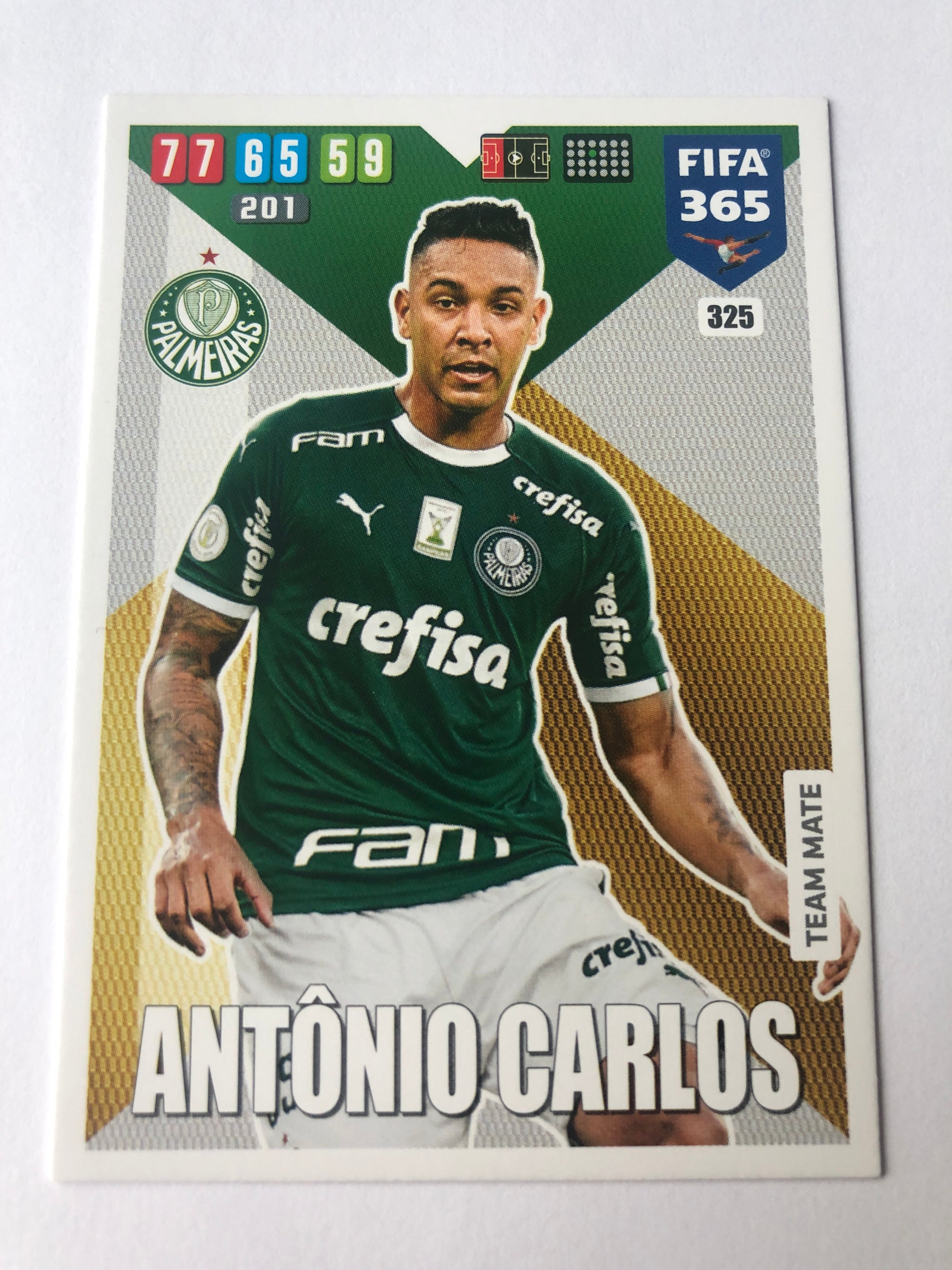 325. ANTONIO CARLOS - PALMEIRAS - TEAM MATE