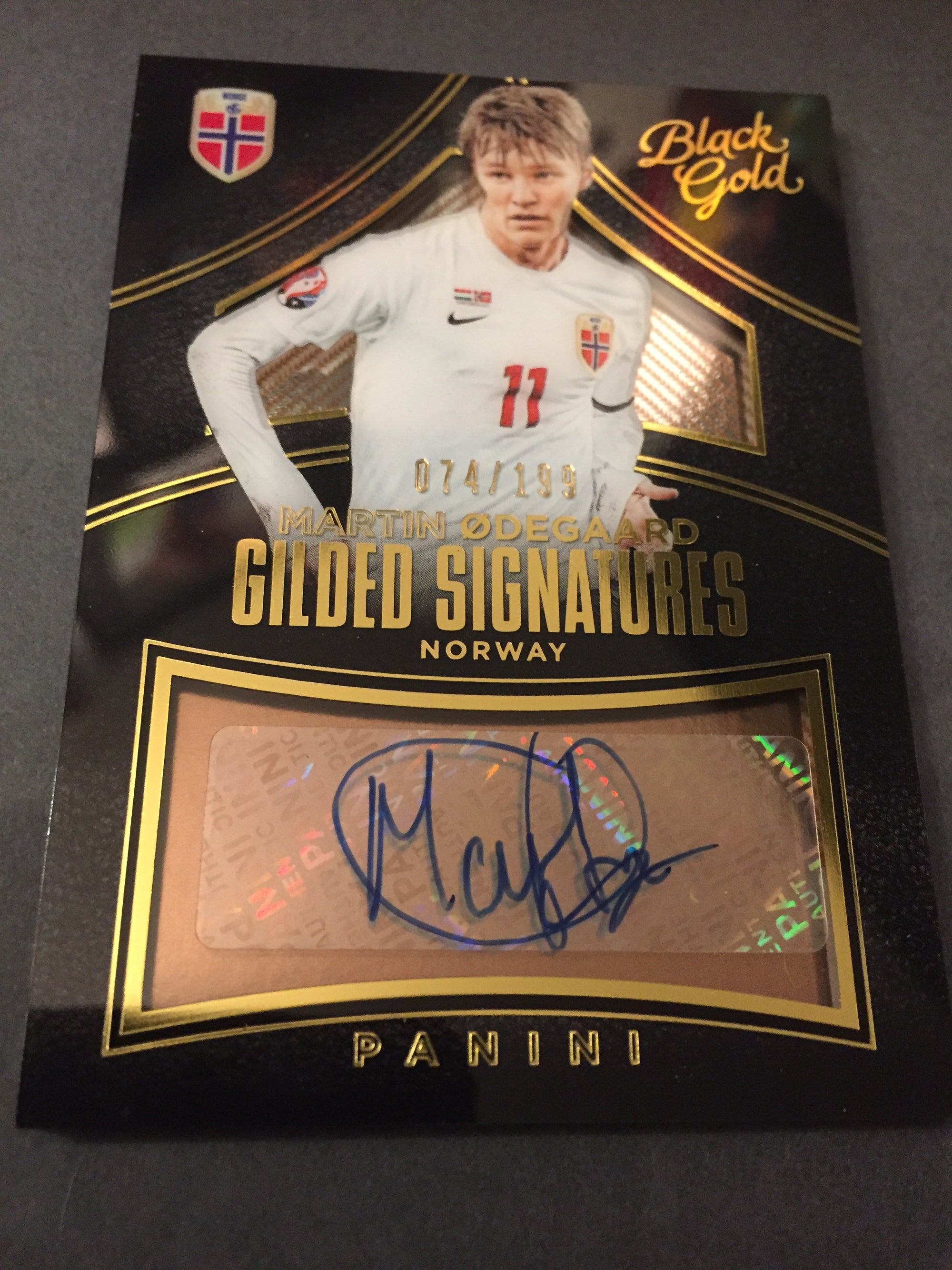 GILDED SIGNATURES - MARTIN ØDEGÅRD