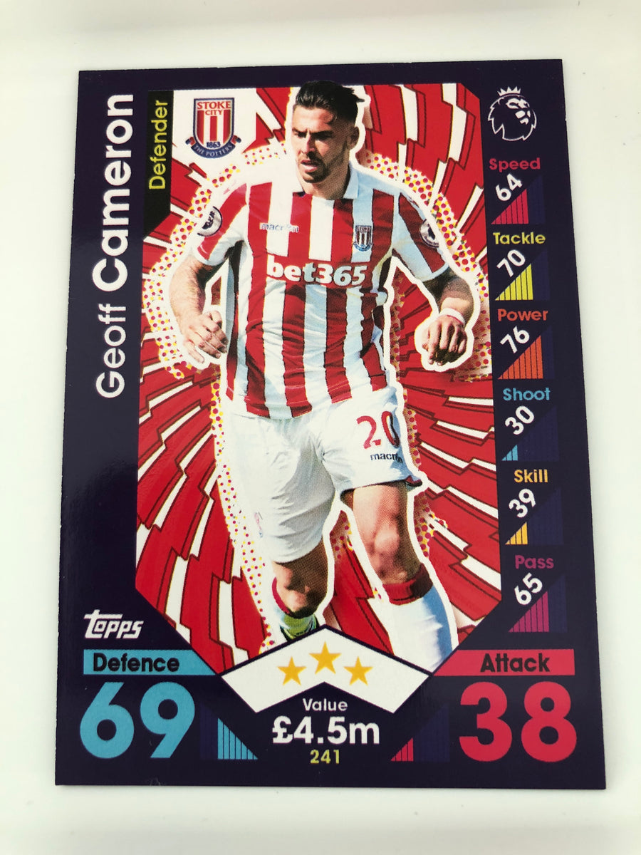 241. GEOFF CAMERON - STOKE CITY