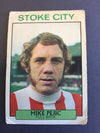 219. Mike Pejic - Stoke City