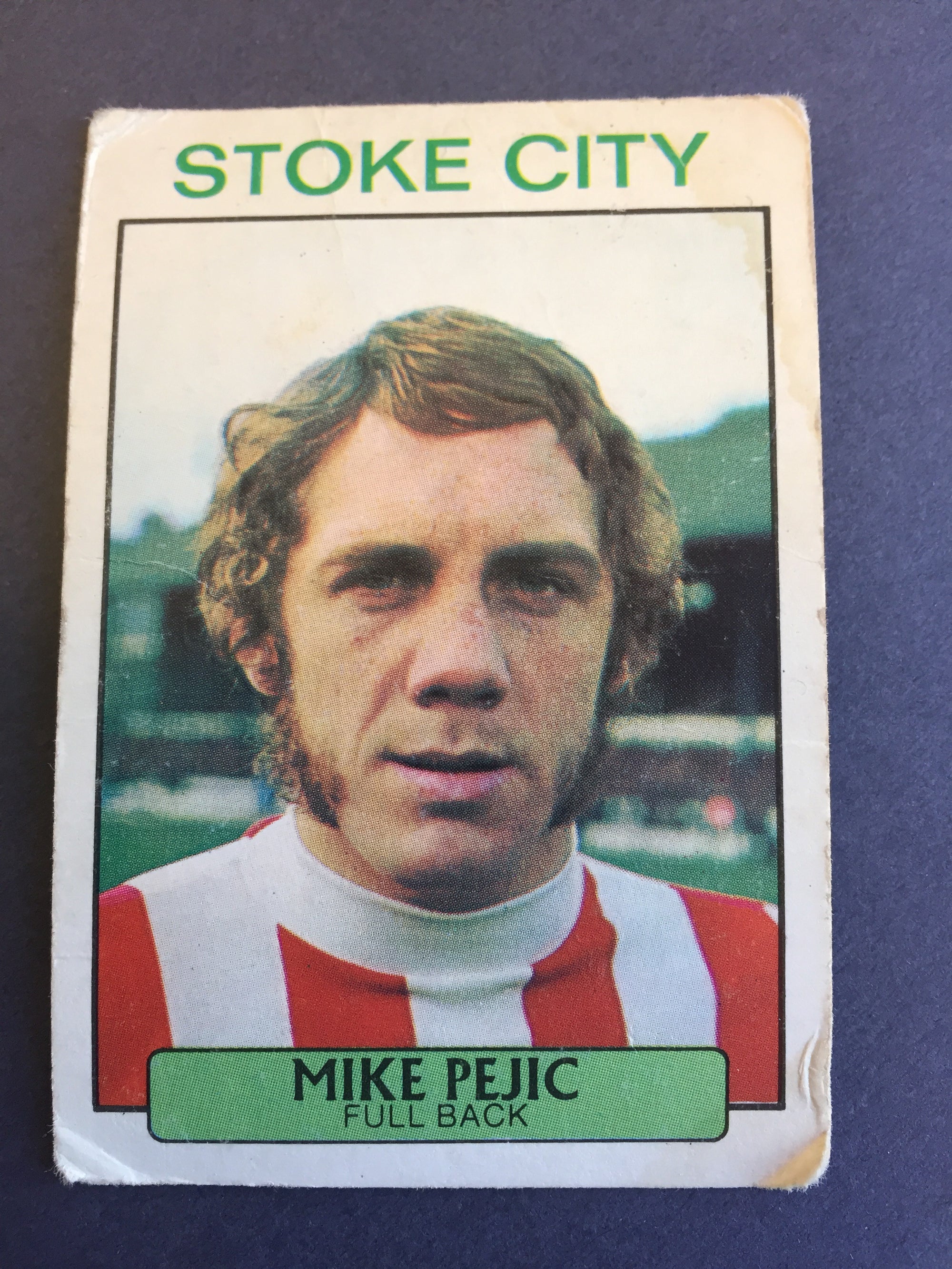 219. Mike Pejic - Stoke City