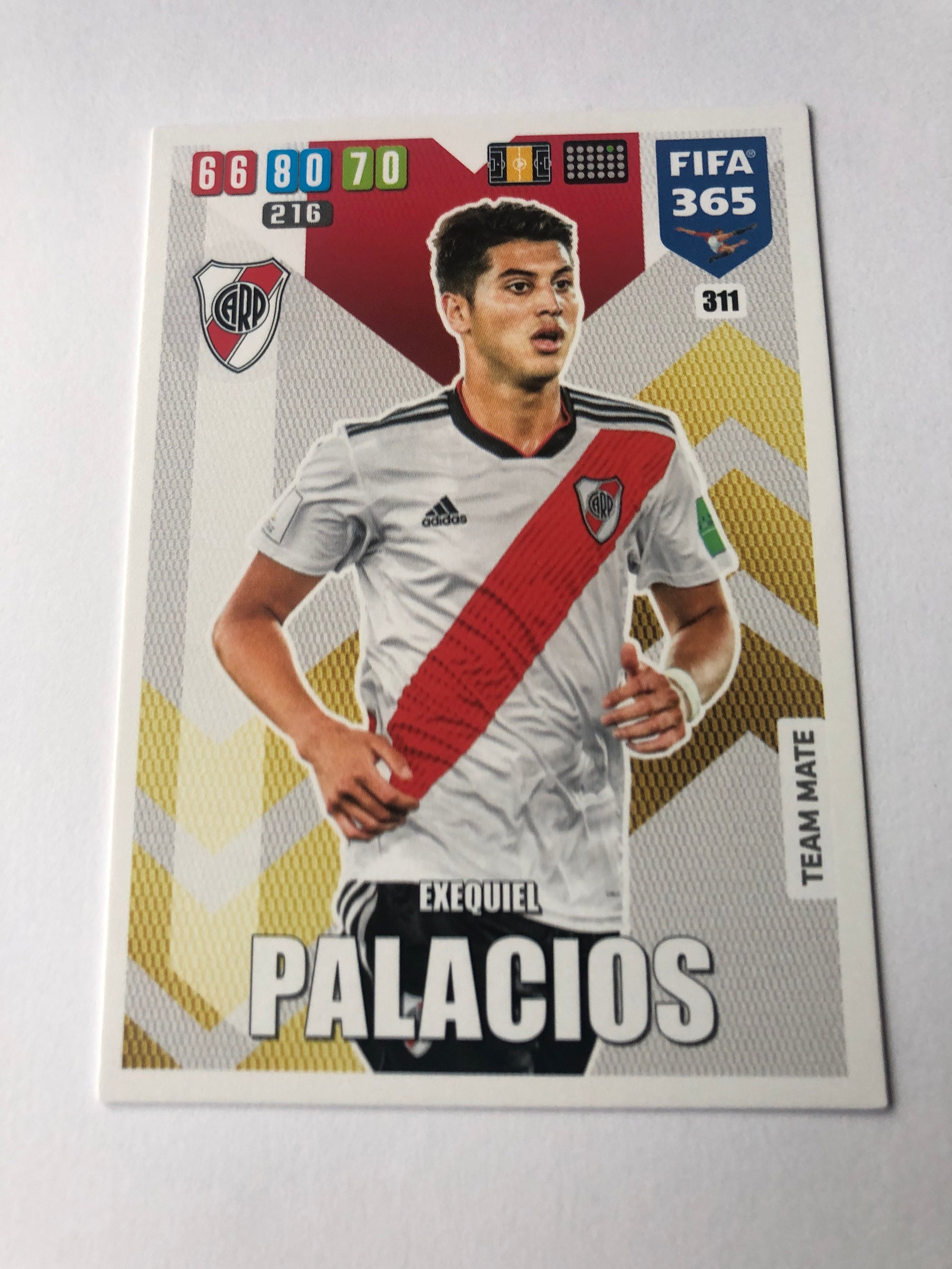 311. EXEQUIEL PALACIOS - RIVER PLATE - TEAM MATE