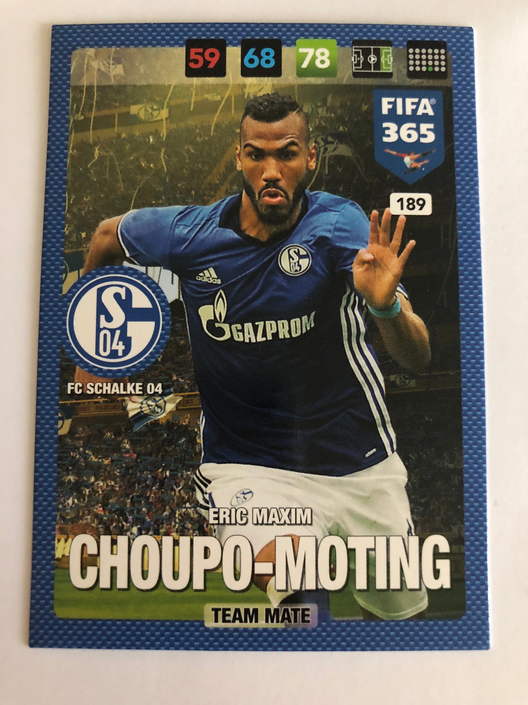 189. ERIC MAXIM CHOUPO-MOTING - TEAM MATE