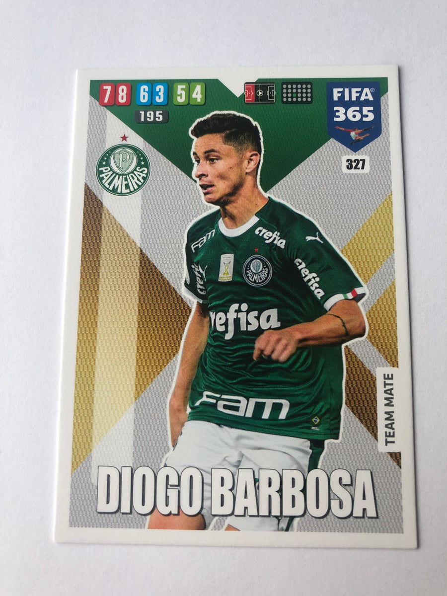327. DIOGO BARBOSA - PALMEIRAS - TEAM MATE