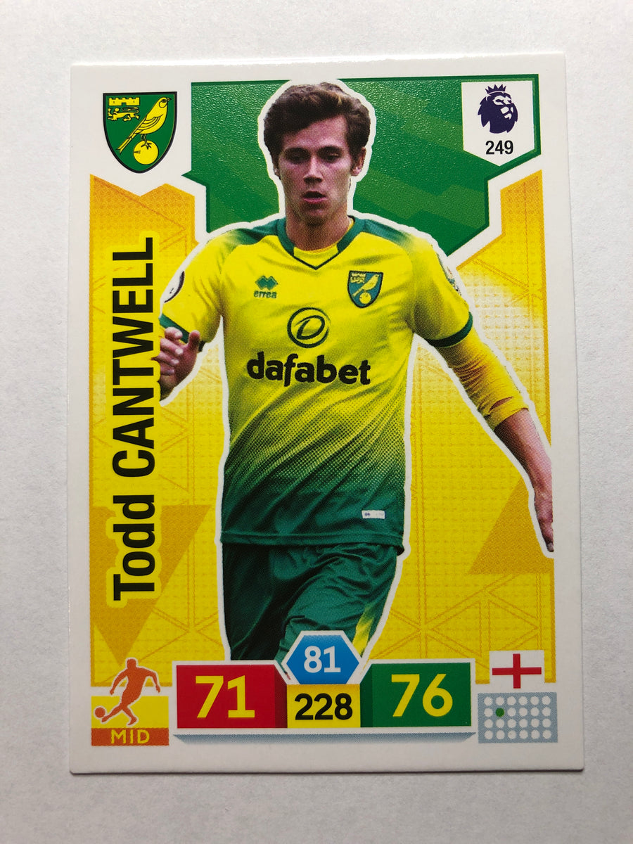 249. TODD CANTWELL - NORWICH CITY