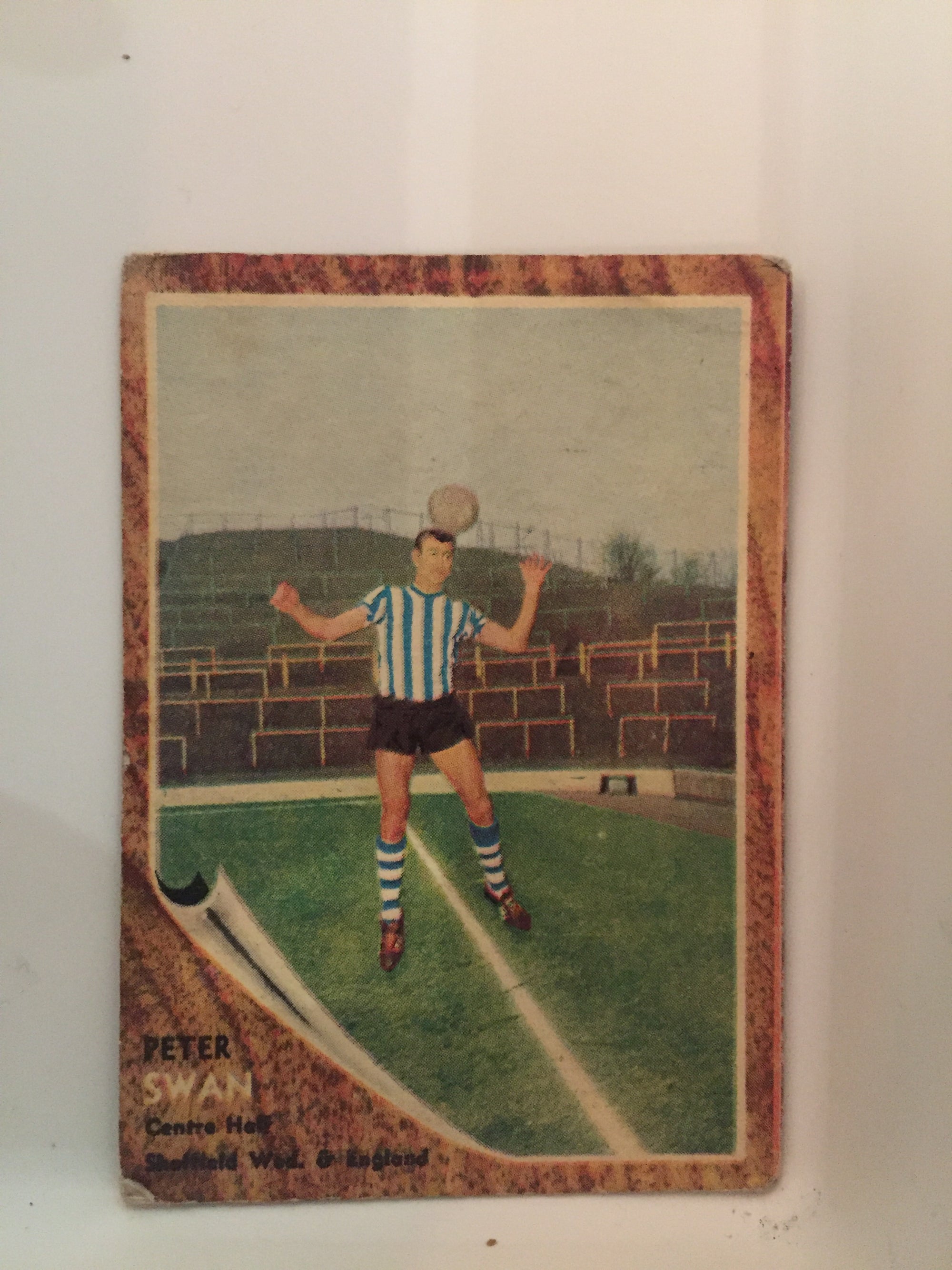 079. PETER SWAN - SHEFFIELD WEDNESDAY