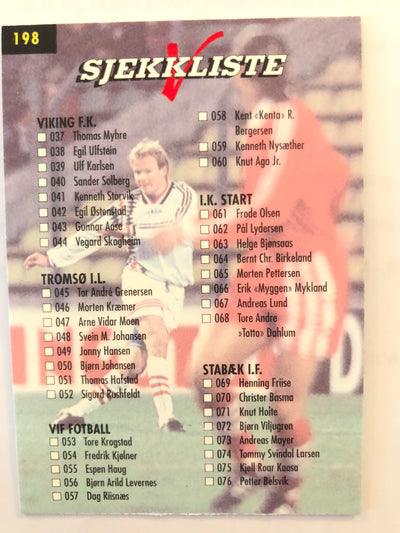 198. SJEKKLISTE
