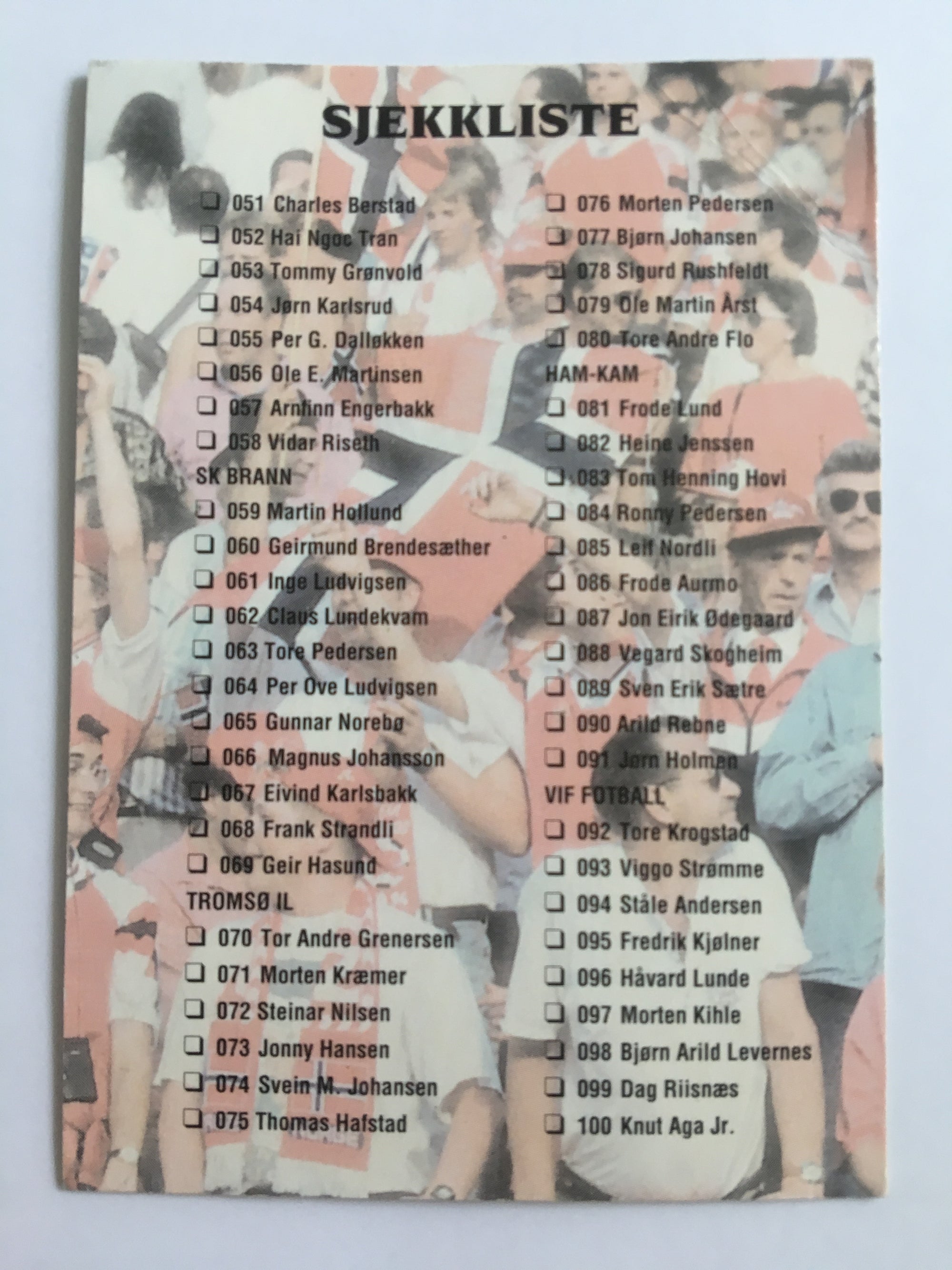 SJEKKLISTE