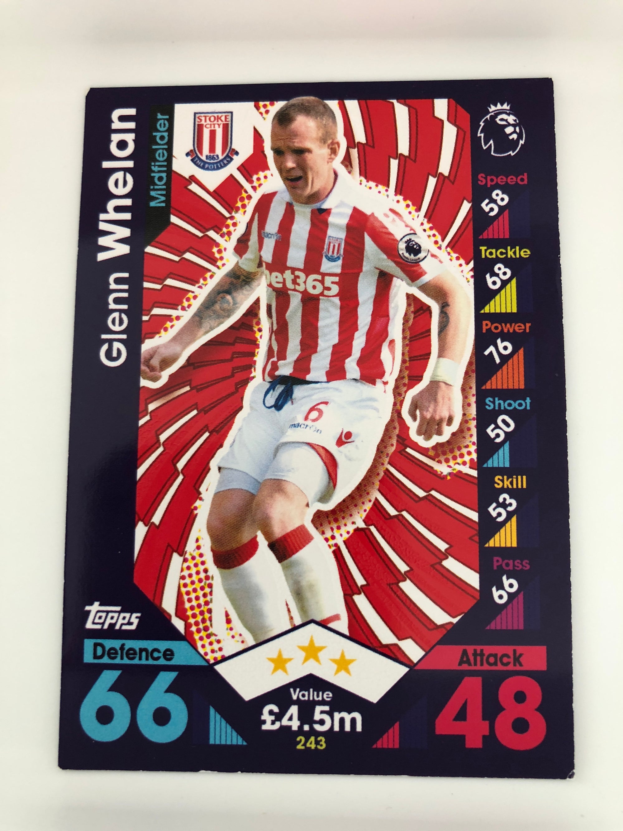 243. GLENN WHELAN - STOKE CITY