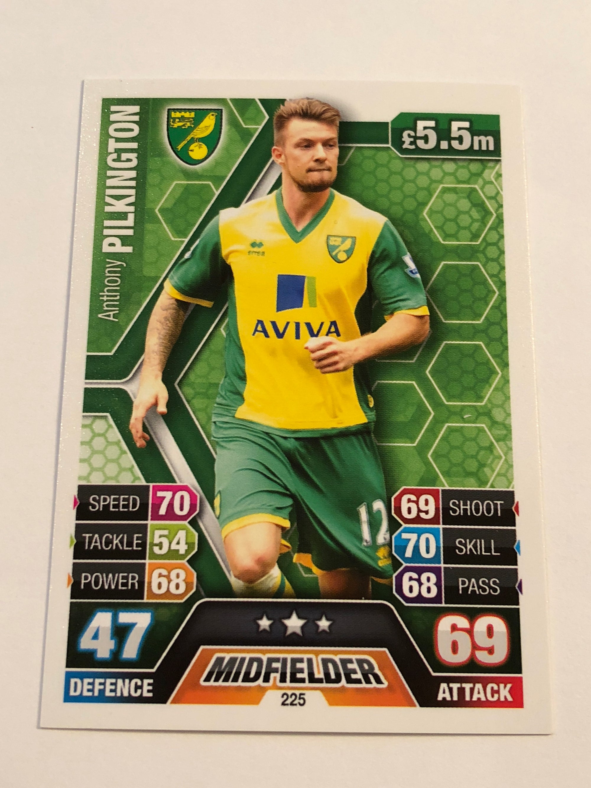 225. ANTHONY PILKINGTON - NORWICH CITY