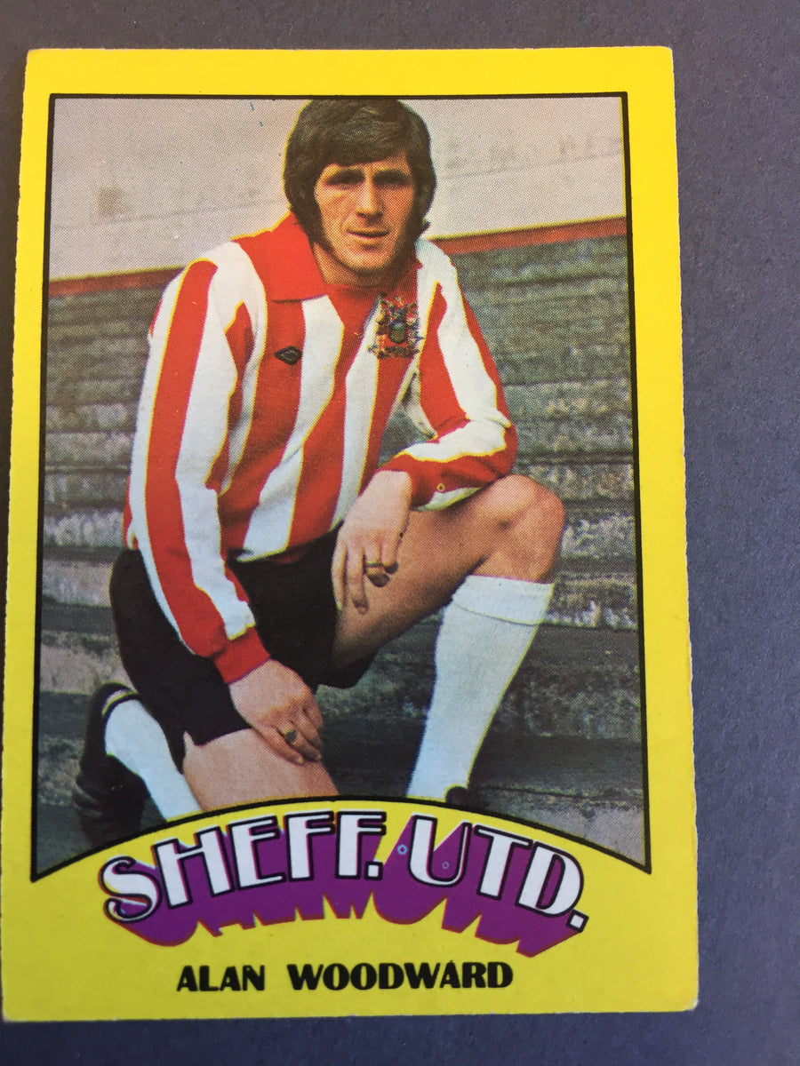021. Alan Woodward - Sheffield United