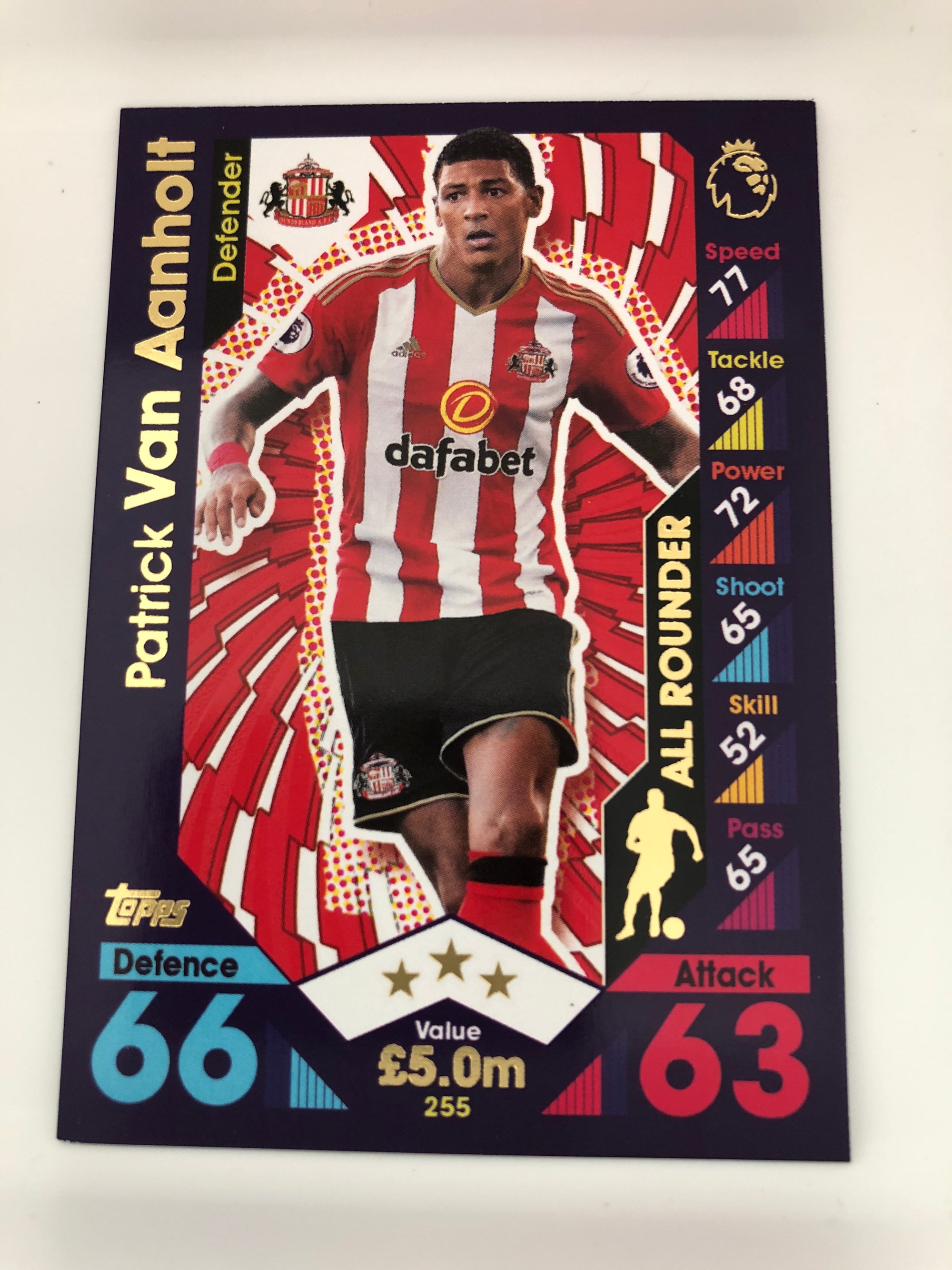255. PATRICK VAN AANHOLT - SUNDERLAND