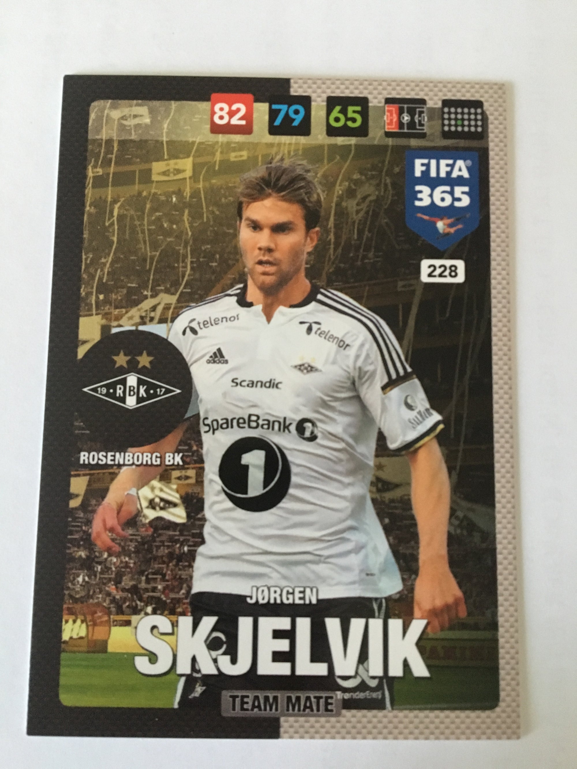 228. JØRGEN SKJELVIK - ROSENBORG BK - TEAM MATE