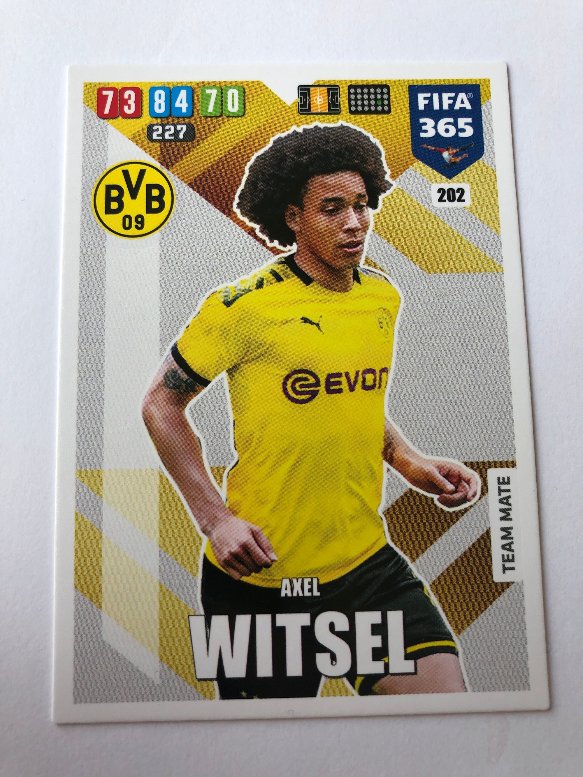 202. AXEL WITSEL - BORUSSIA DORTMUND - TEAM MATE
