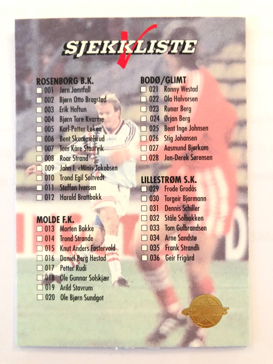 198. SJEKKLISTE