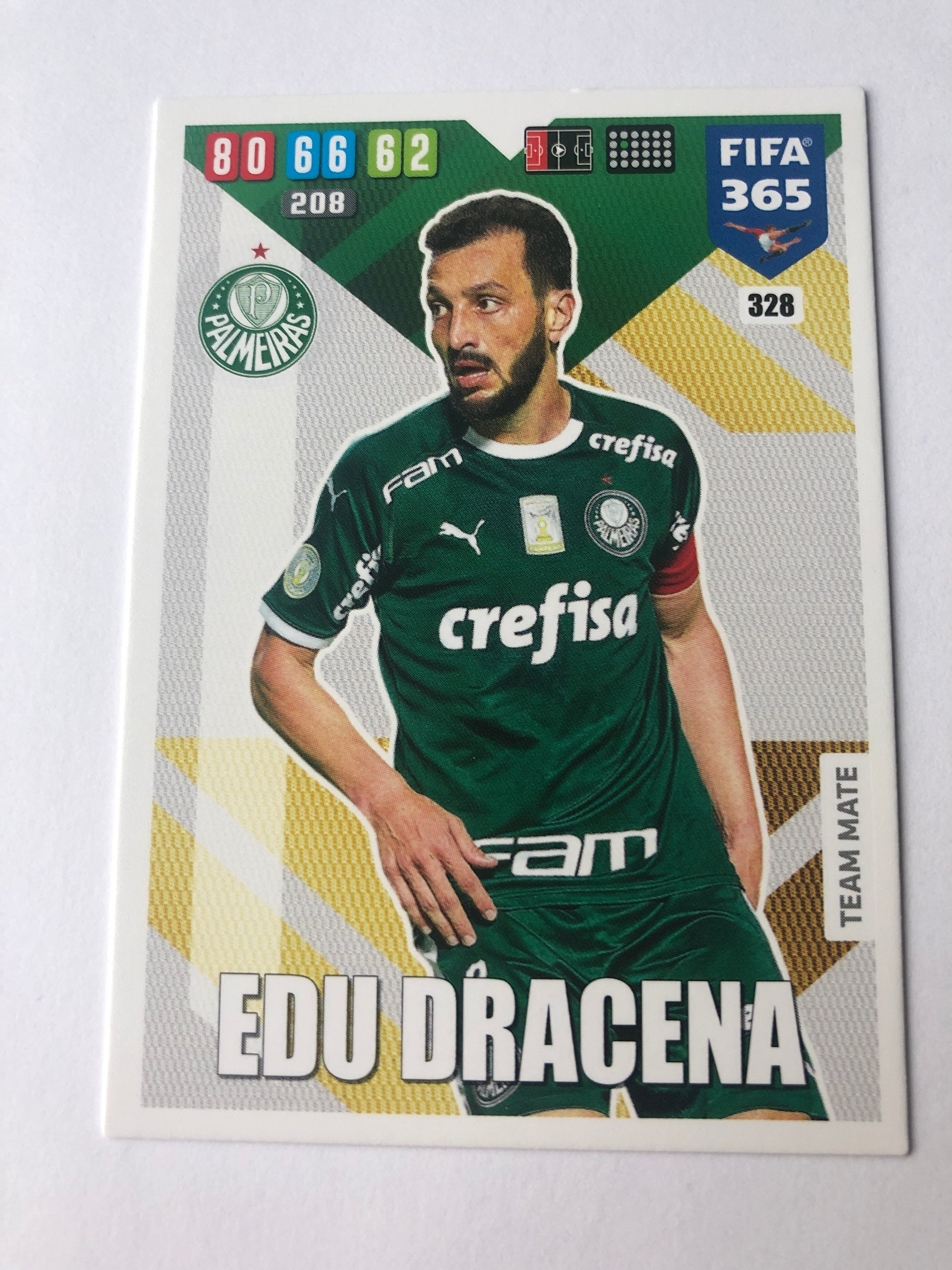 328. EDU DRACENA - PALMEIRAS - TEAM MATE