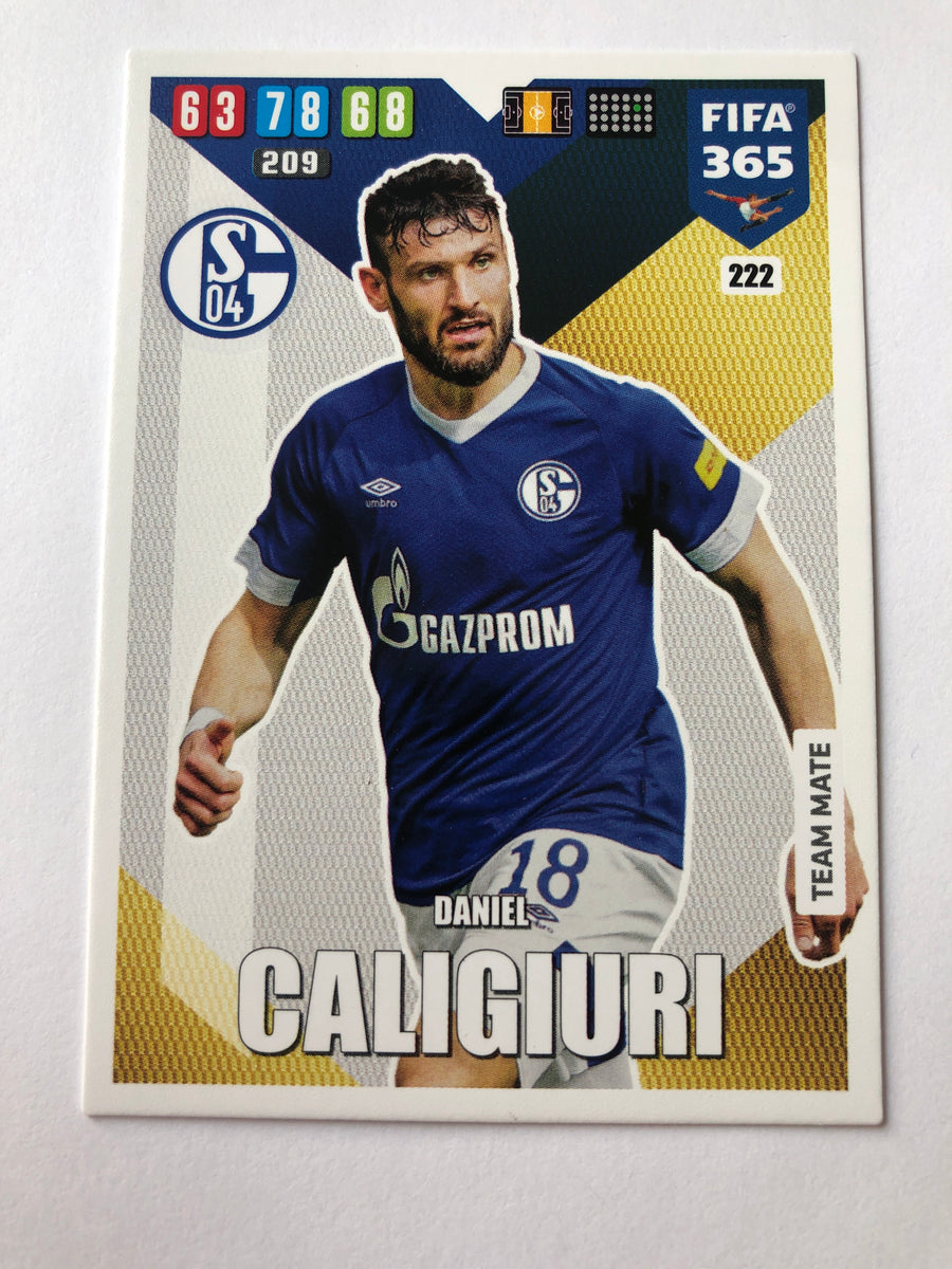 222. DANIEL CALIGIURI - SCHALKE 04 - TEAM MATE