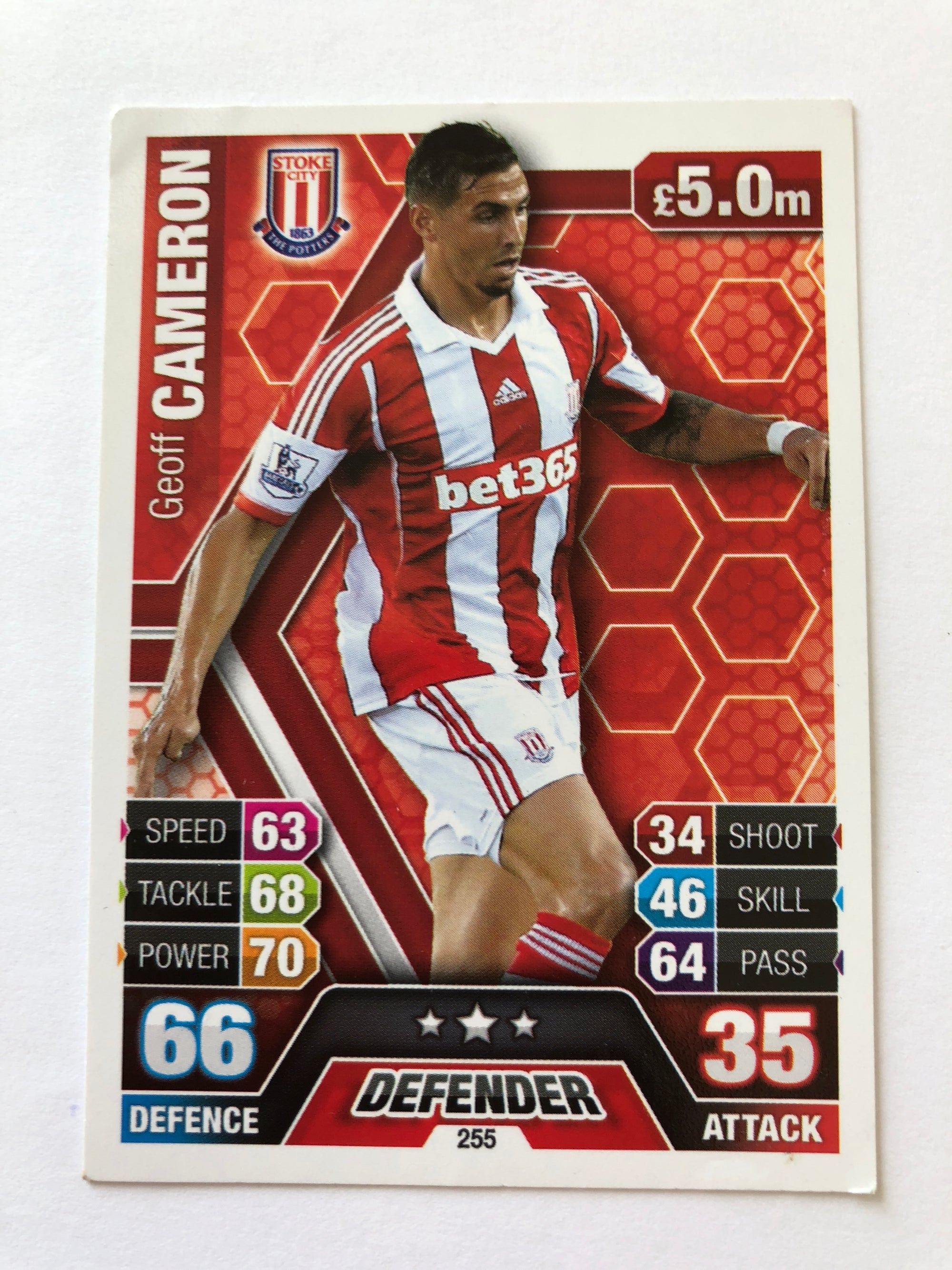 255. GEOFF CAMERON - STOKE CITY